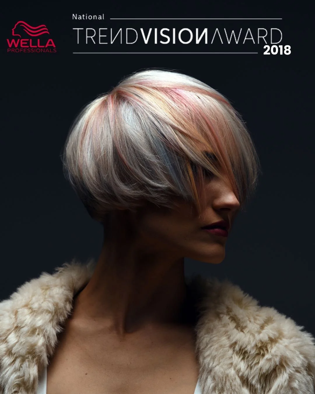 Wella Trend Vision Award Bronze Color Vision 2018