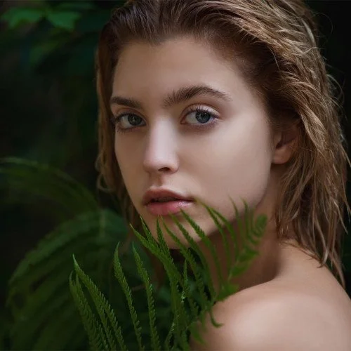 System Professional Inessence