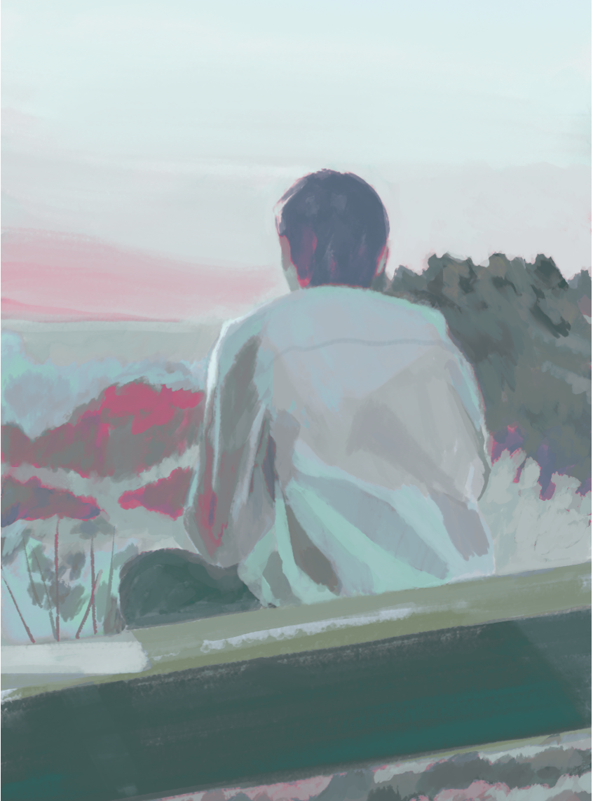 A person sitting on a grassy hill looking at a sunset over a landscape with trees and distant mountains.