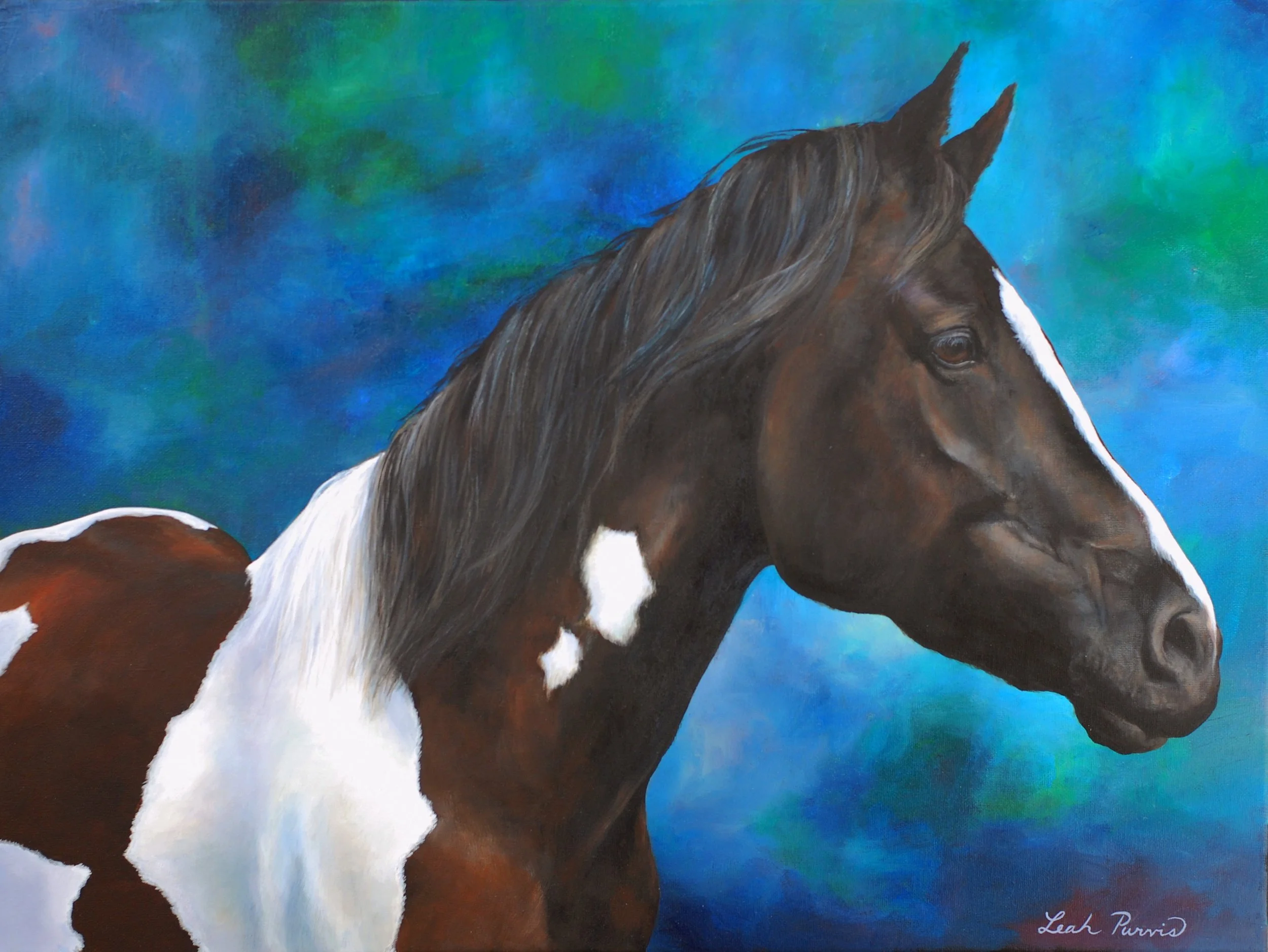 "Pinto Dream" - 16" x 20" acrylic on canvas 