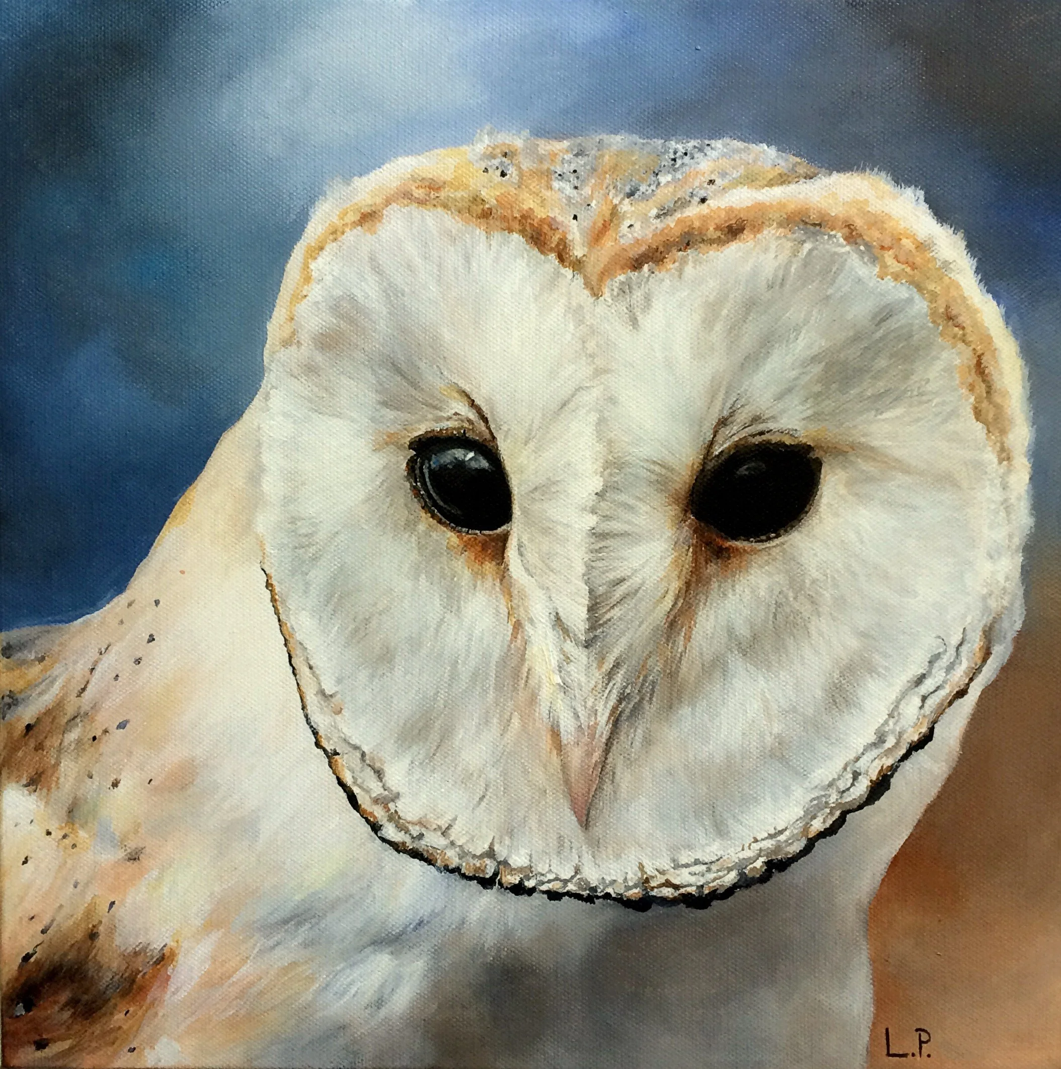 Barn Owl Print (12" x 12")