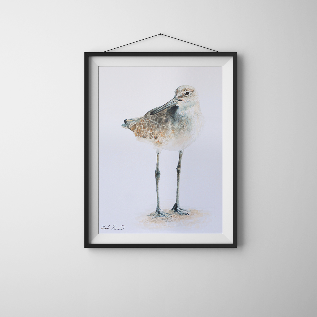 Print Mockups (2).png