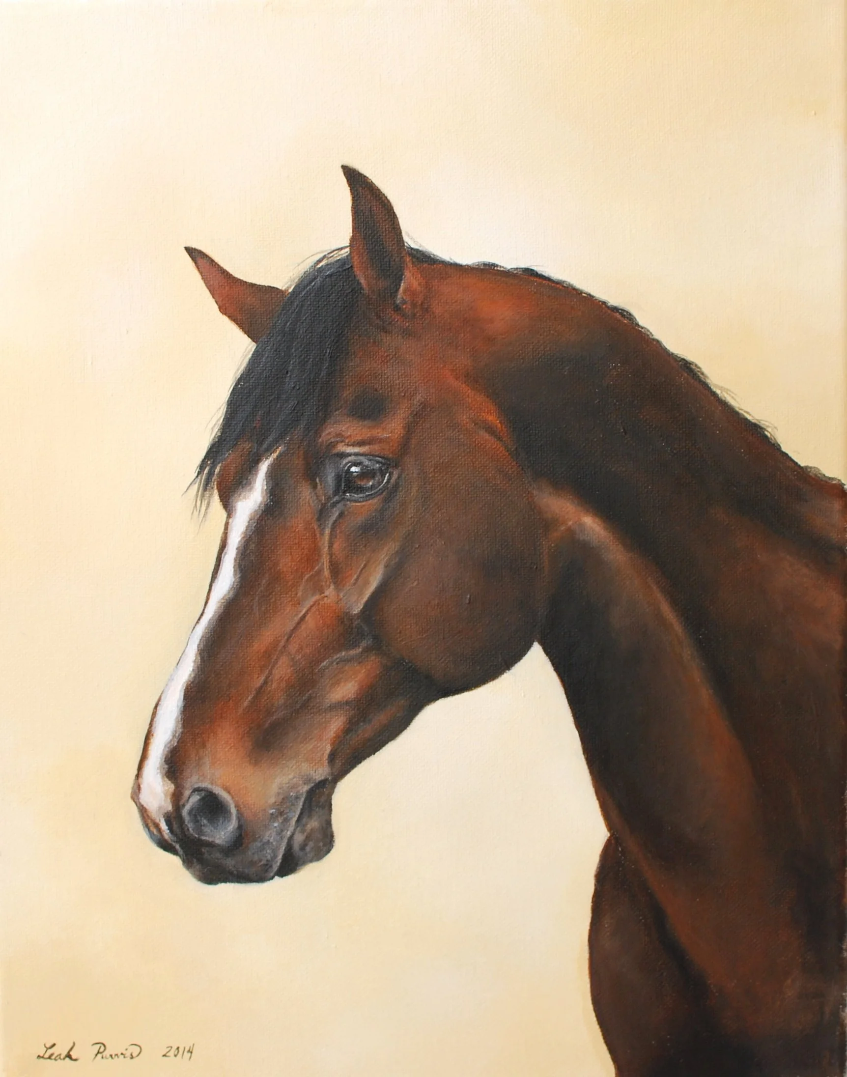 "Bay Horse Portrait" - 11" x 14" acrylic on canvas 