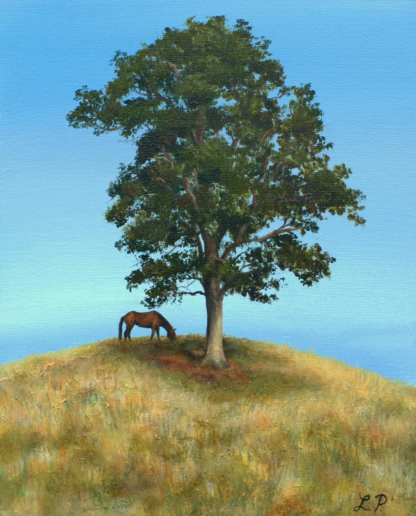 &ldquo;Afternoon&rdquo; - 8&rdquo; x 10&rdquo; acrylic on canvas
This painting was inspired by a photo I took of some cows on a hill near Boone, NC. And I thought to myself how pretty it would look if a horse were grazing under the tree on top of the