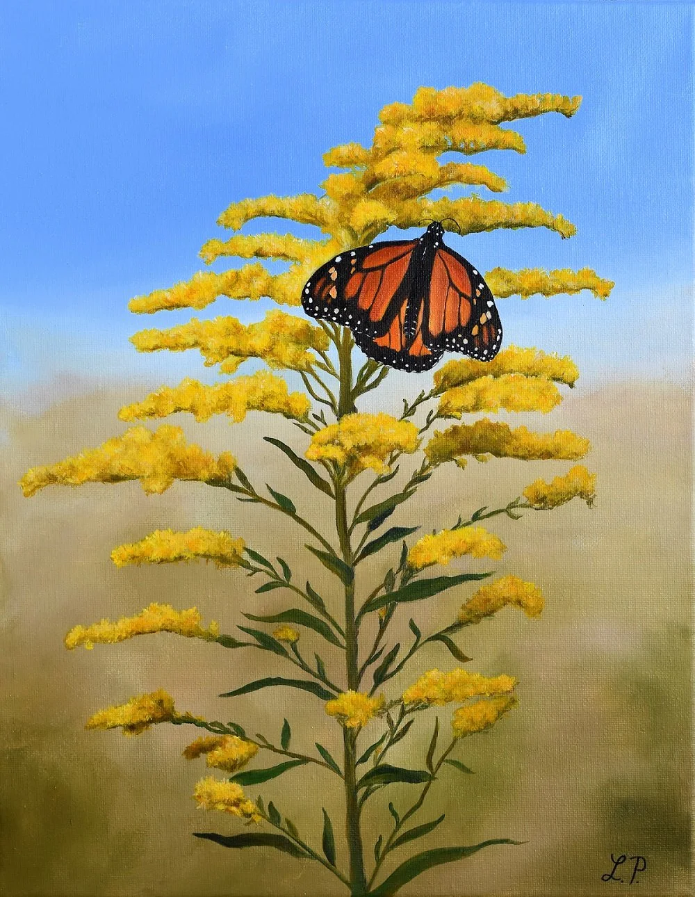 &ldquo;Monarch on Goldenrod&rdquo; - 11&rdquo; x 14&rdquo; acrylic on canvas
I painted this from a photo that I took in a field on a mountain in the Great Smoky Mountains National Park. It was late summer, and Goldenrod was blooming everywhere, with 