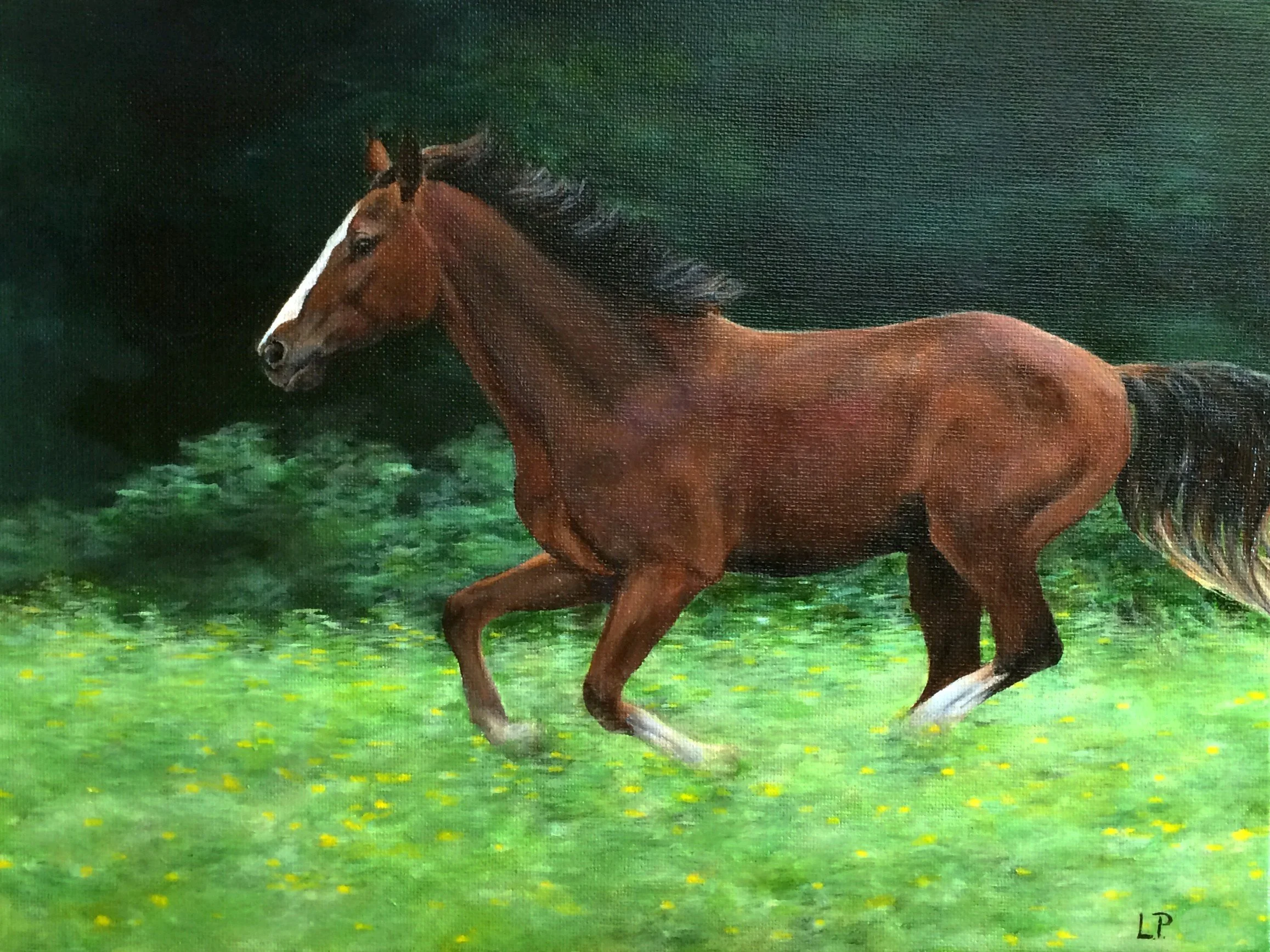 "Running Horse" - 9" x 12" acrylic on canvas