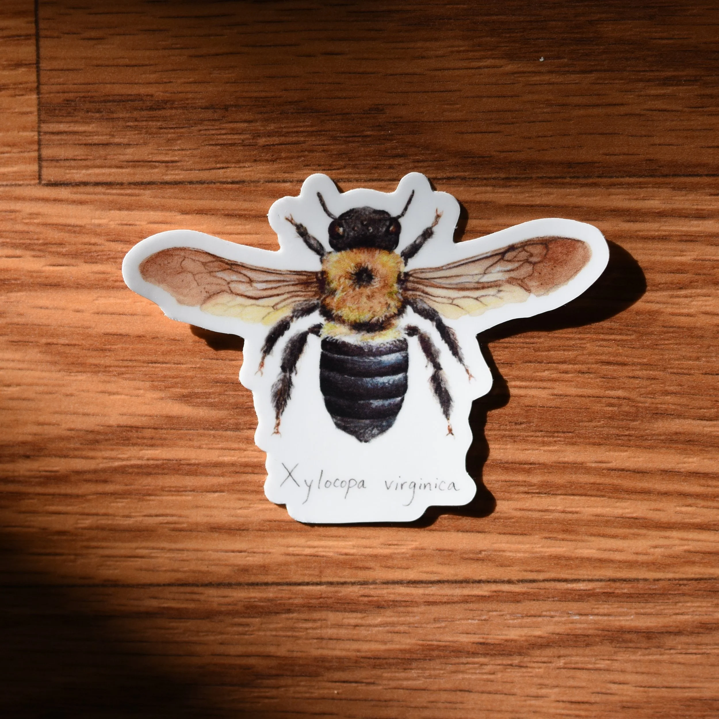 Carpenter Bee Vinyl Sticker