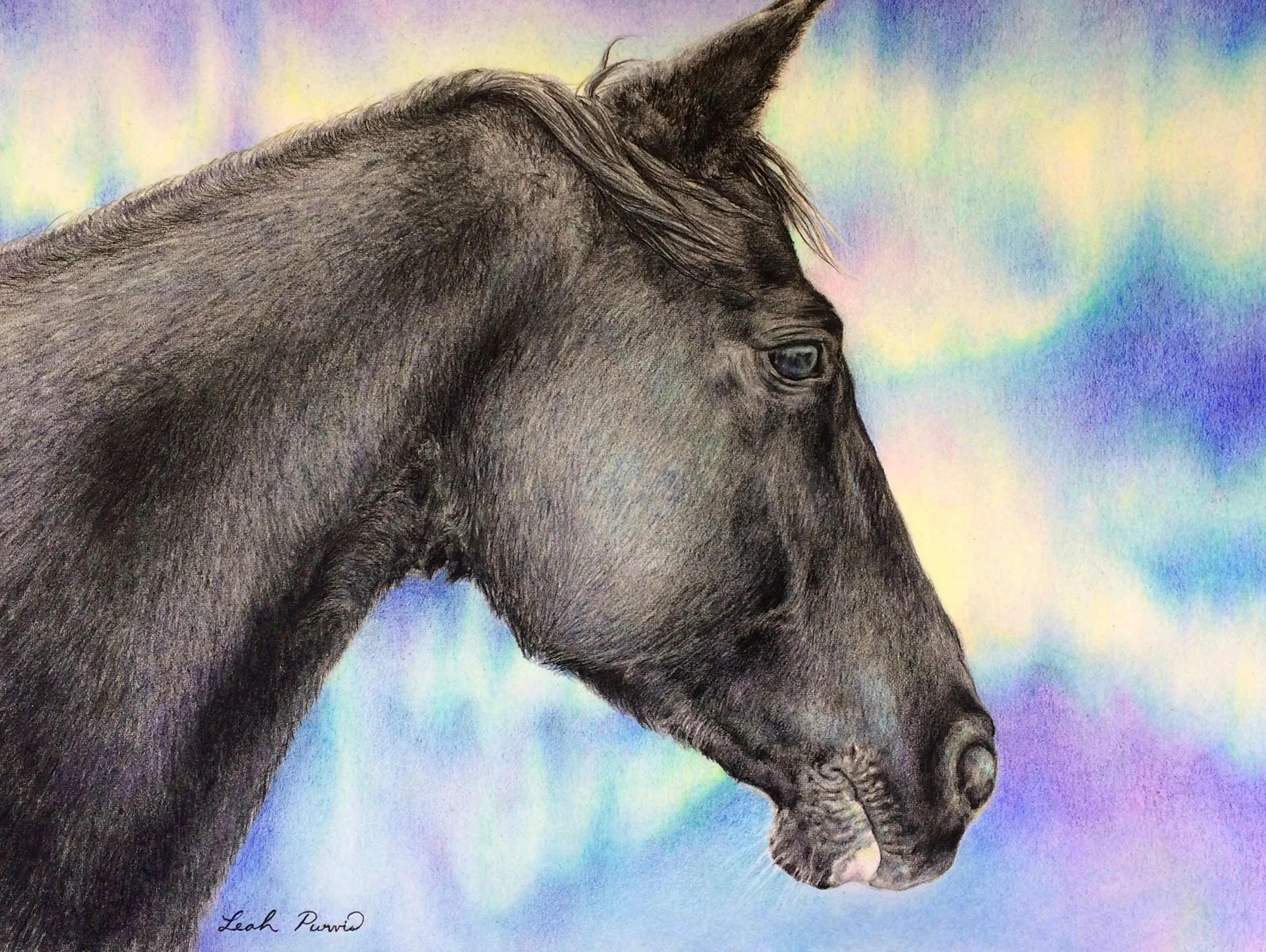 Diamond In the Lights Print (9" x 12")