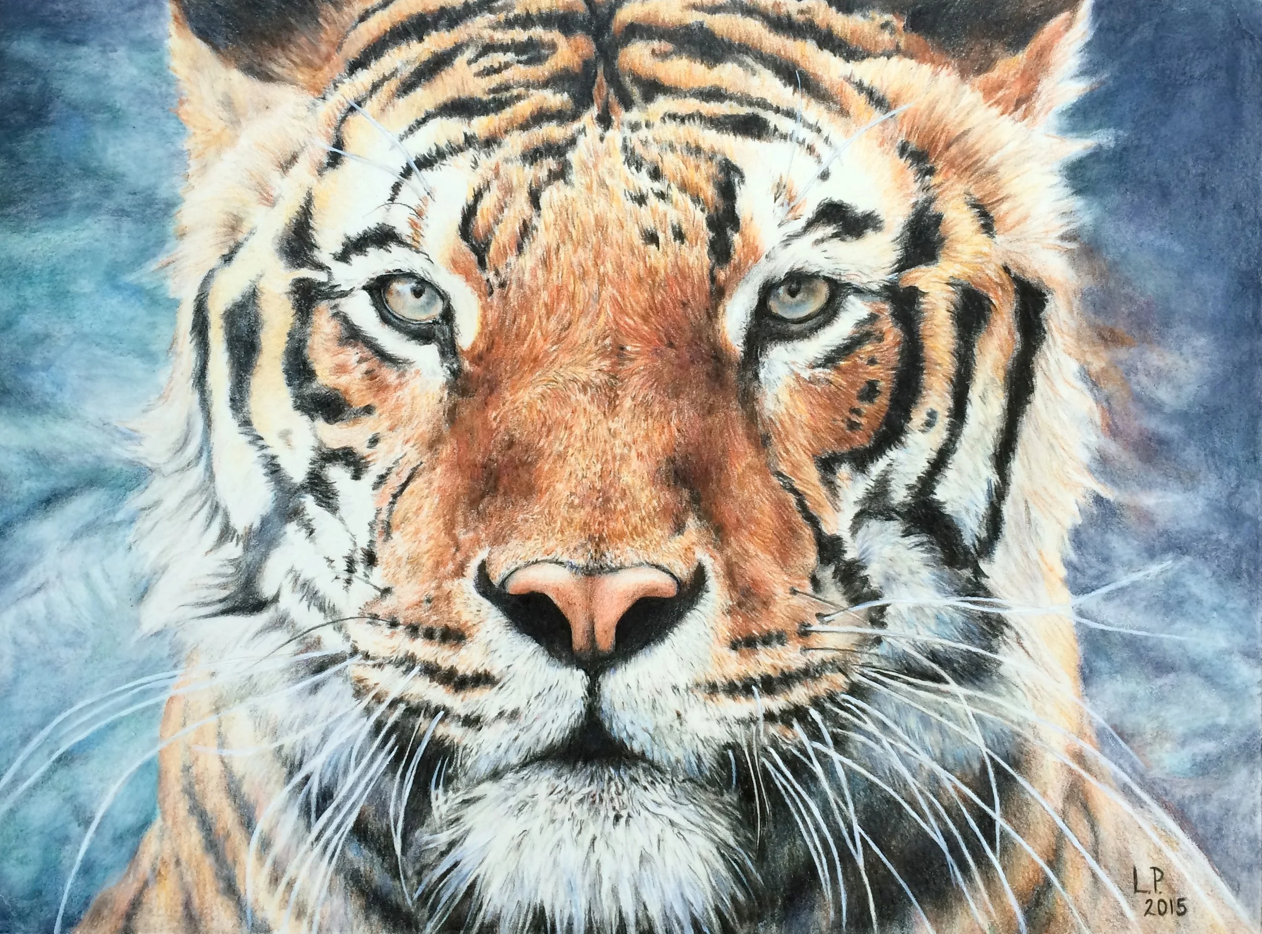 "Emerging" - 9" x 12" colored pencil on paper