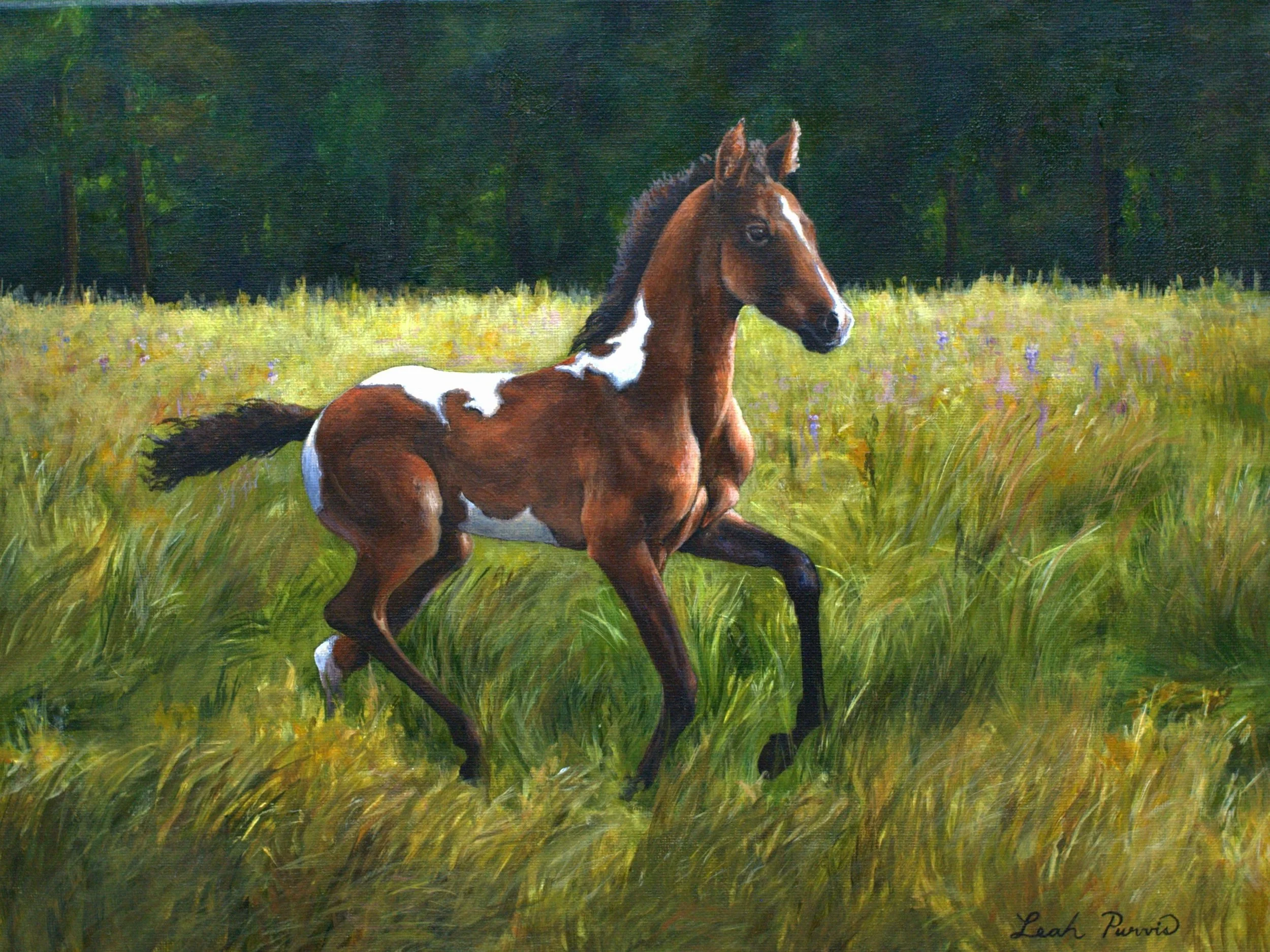 "Newfound Freedom" - 12" x 16" acrylic on canvas