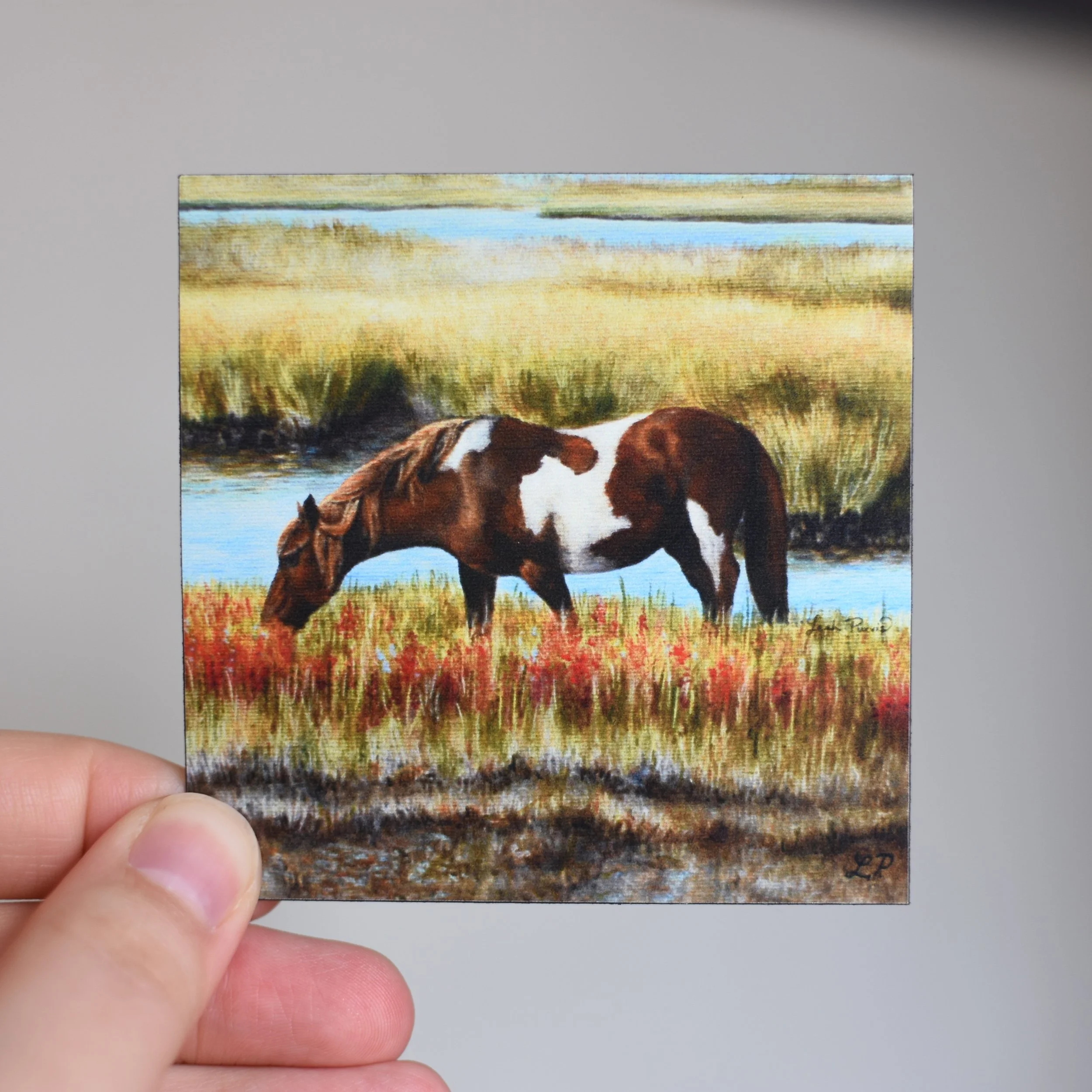 Grazing in the Marsh Magnet