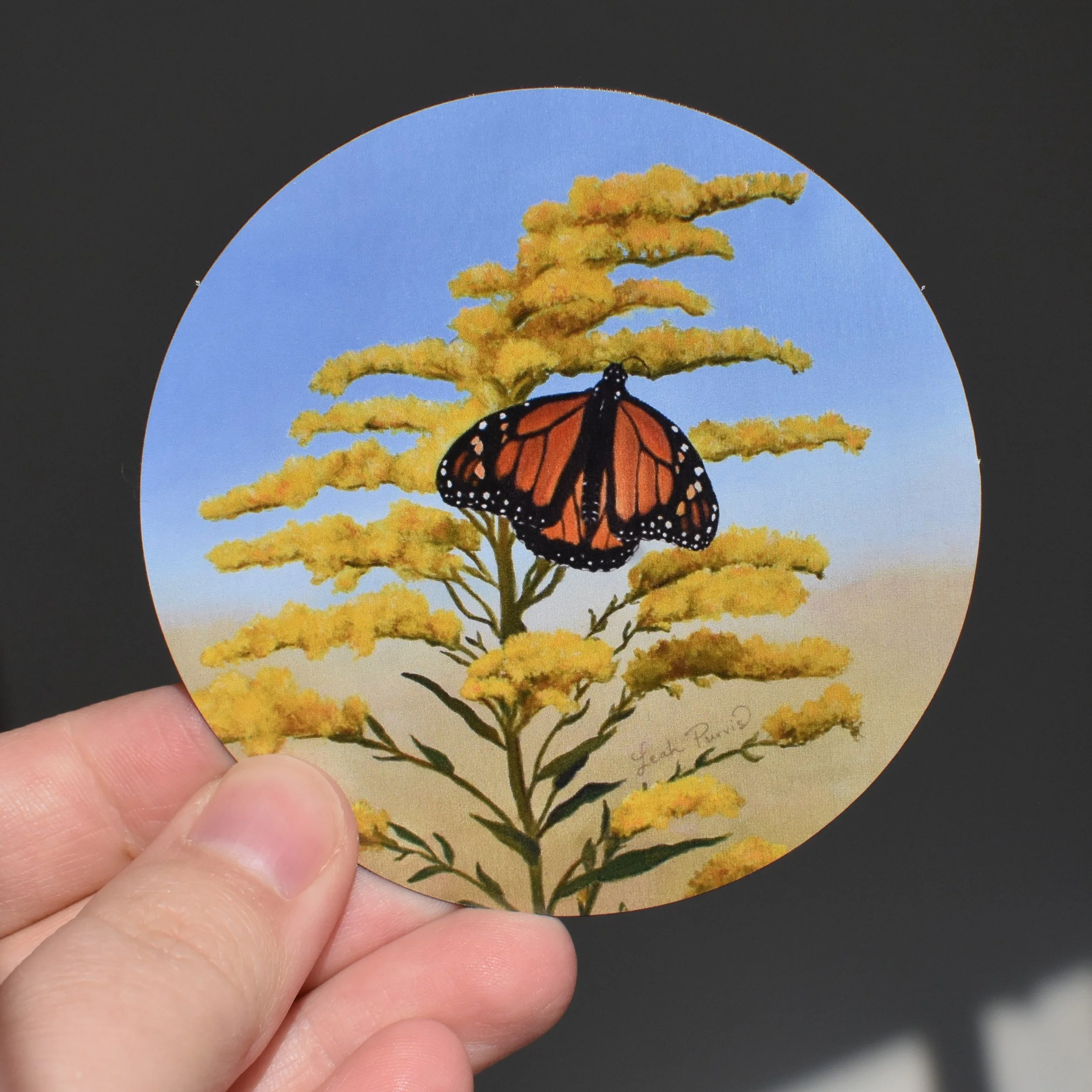 Monarch on Goldenrod Magnet