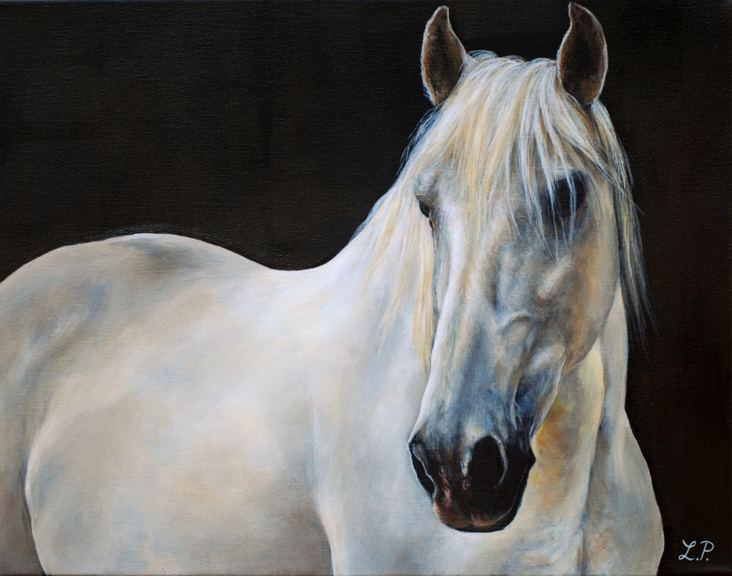 "Ivory" - 11" x 14" acrylic on canvas