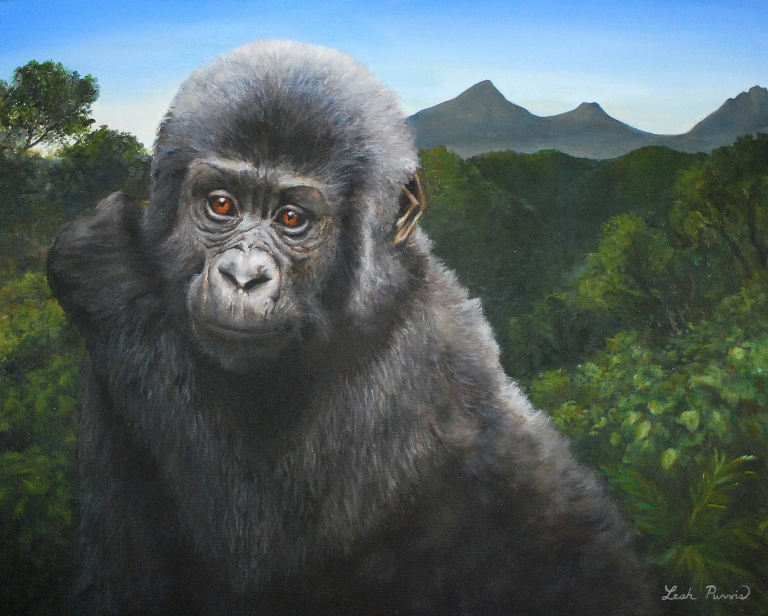 "Virunga Baby" - 16" x 20" acrylic on canvas