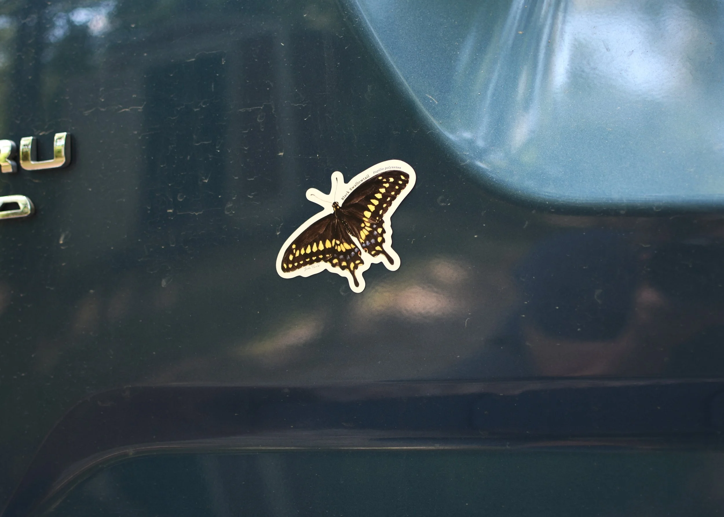 DSC_1350.JPG