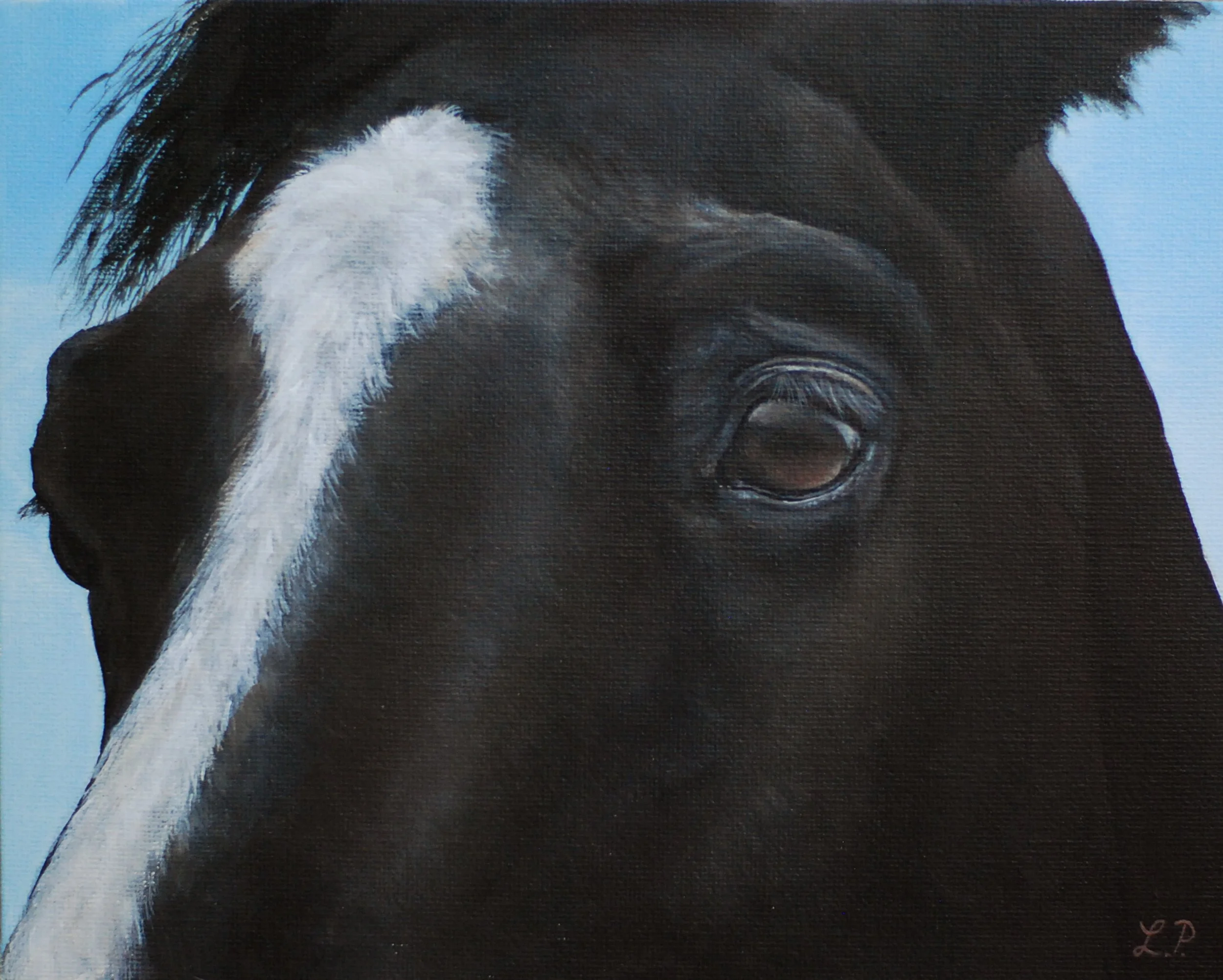 "Mystery's Eyes" - 8" x 10" acrylic on canvas board