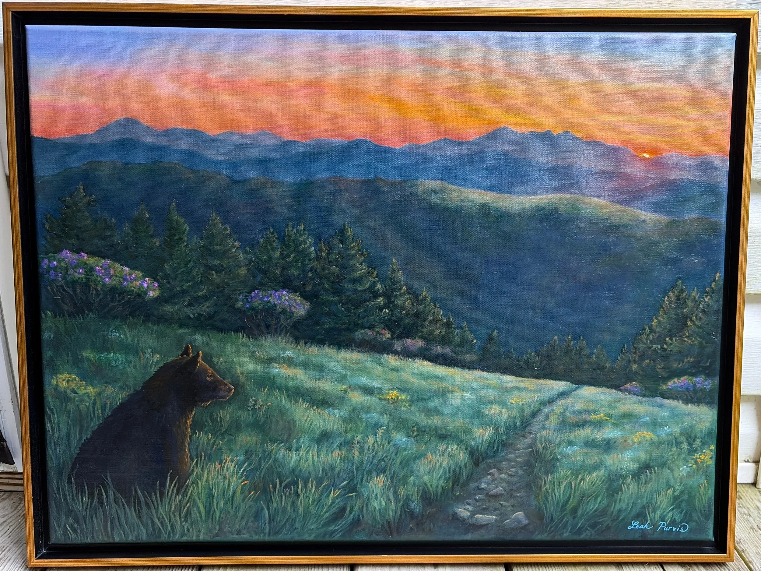 "First Light on Grassy Ridge" - 18" x 24" oils on canvas