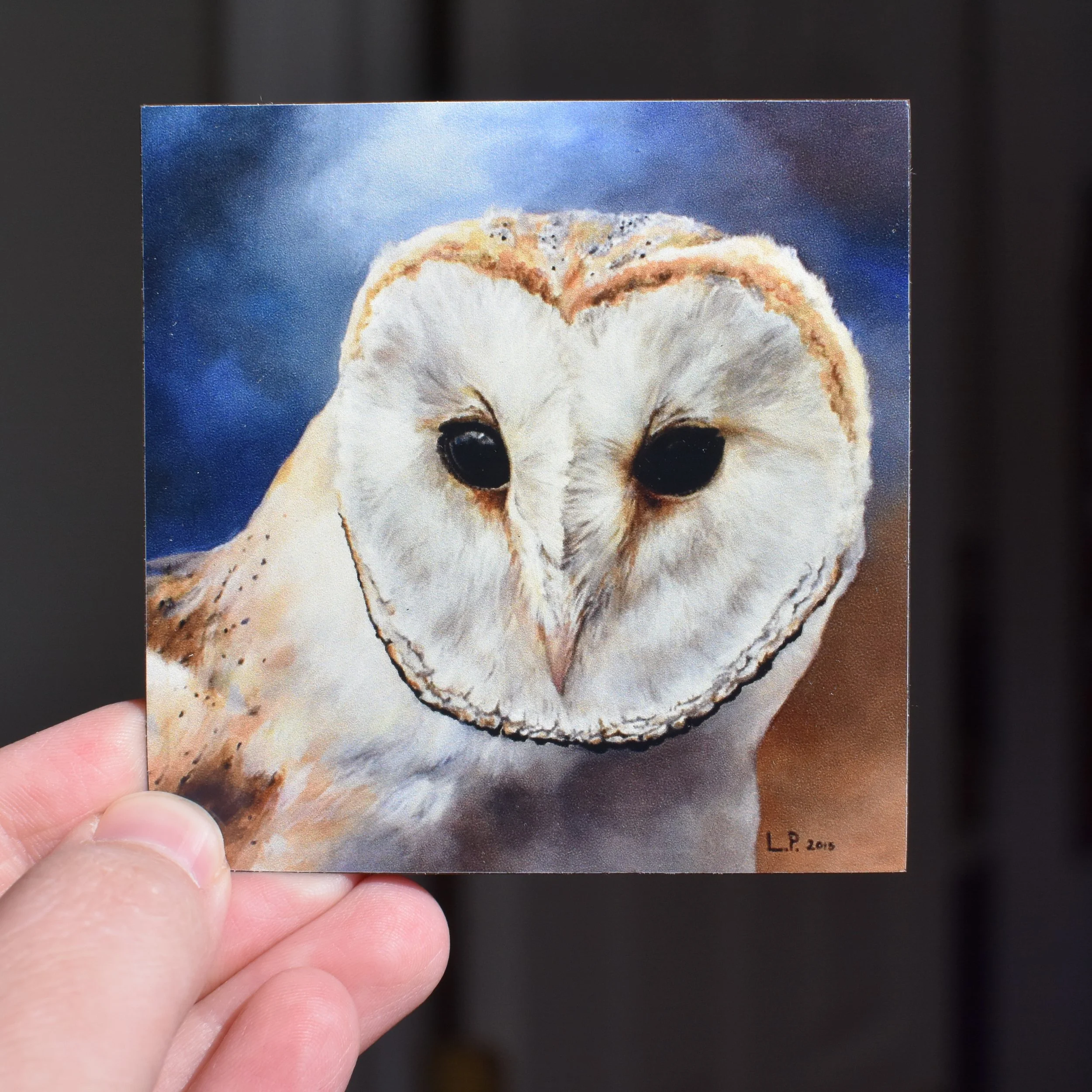 Barn Owl Magnet