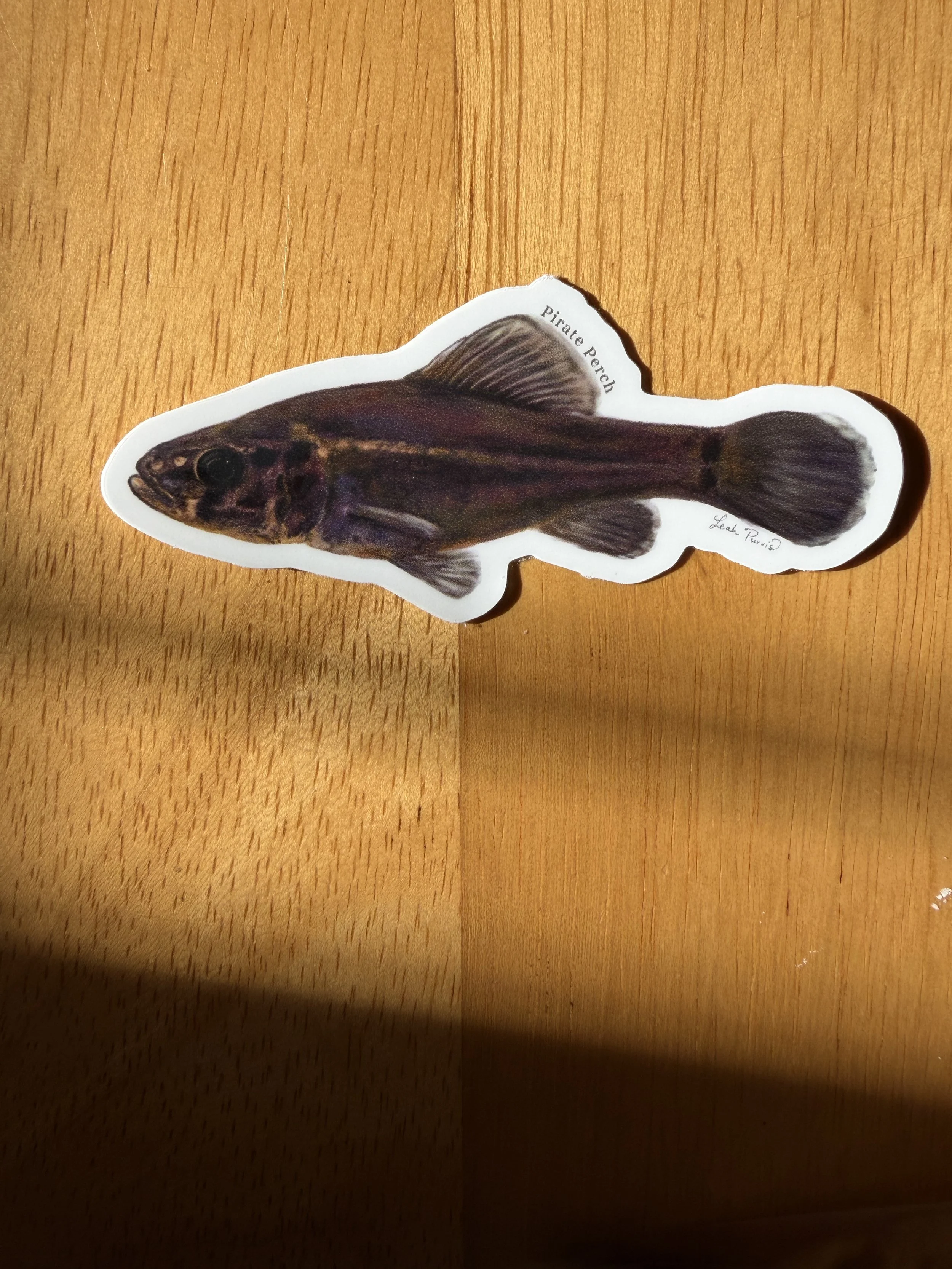 Pirate Perch Sticker