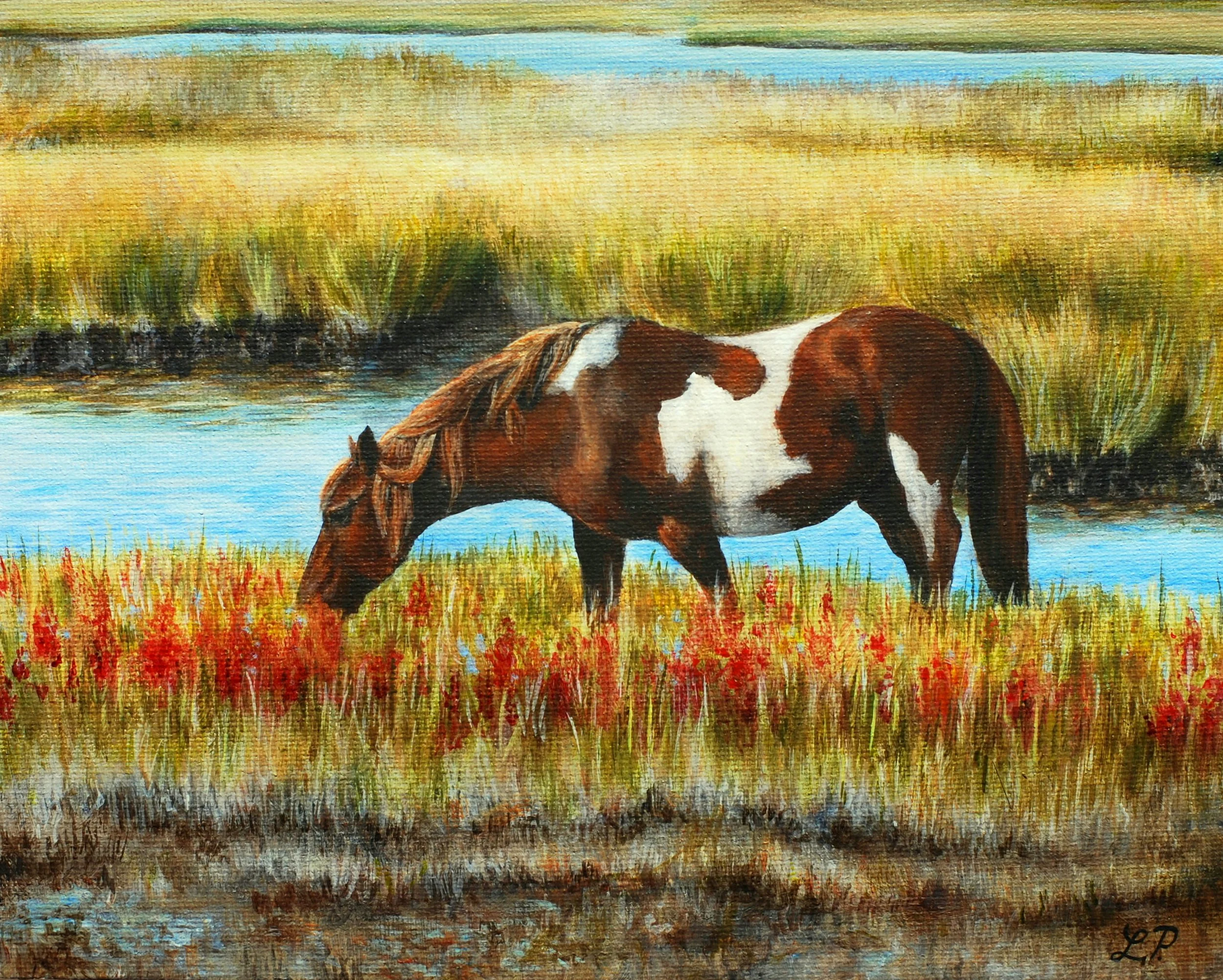 "Grazing in the Marsh" - 8" x 10" acrylic on canvas