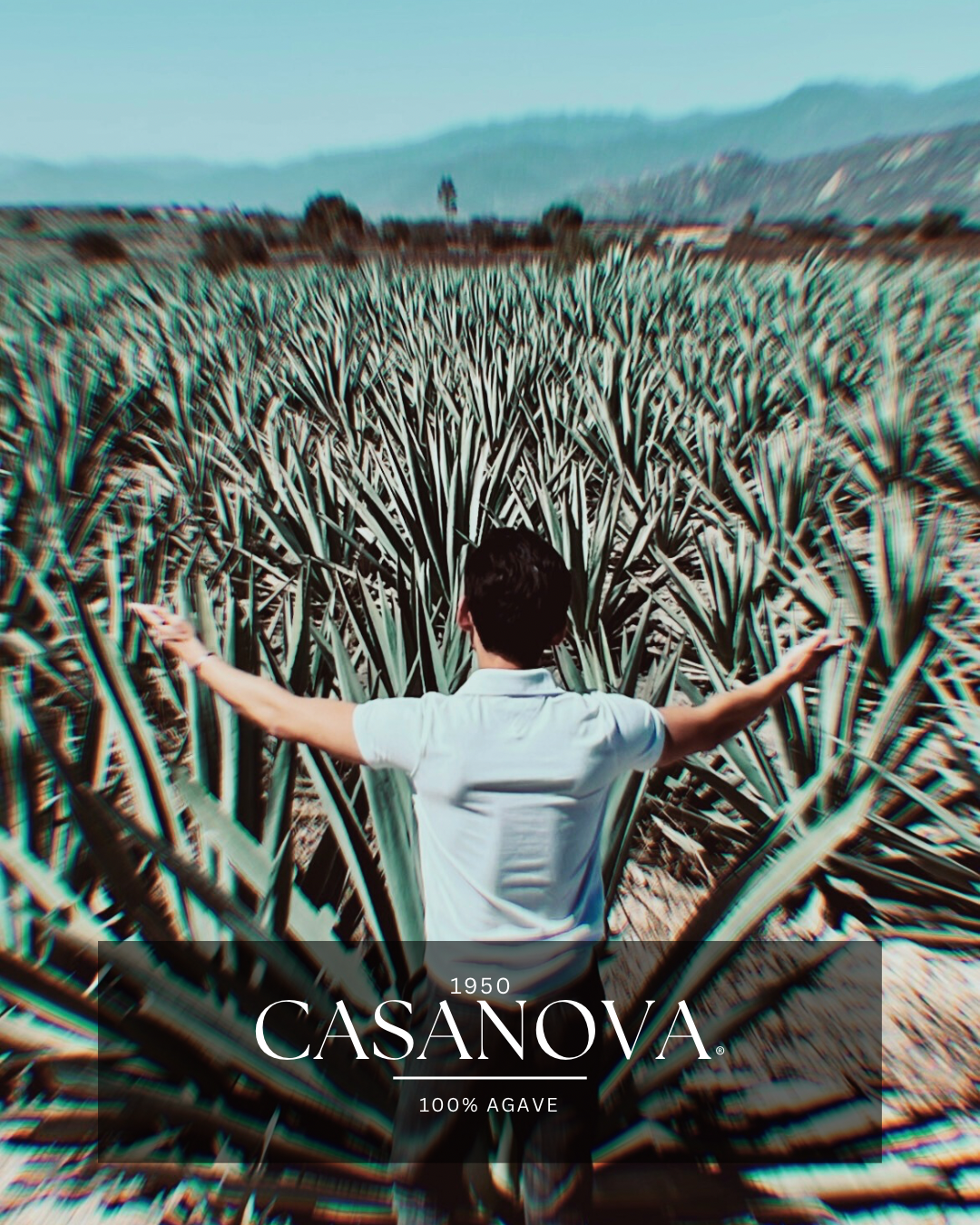 Person standing in a large agave field with arms outstretched, mountains in the background, and a brand overlay for Casanova 1950, 100% agave.
