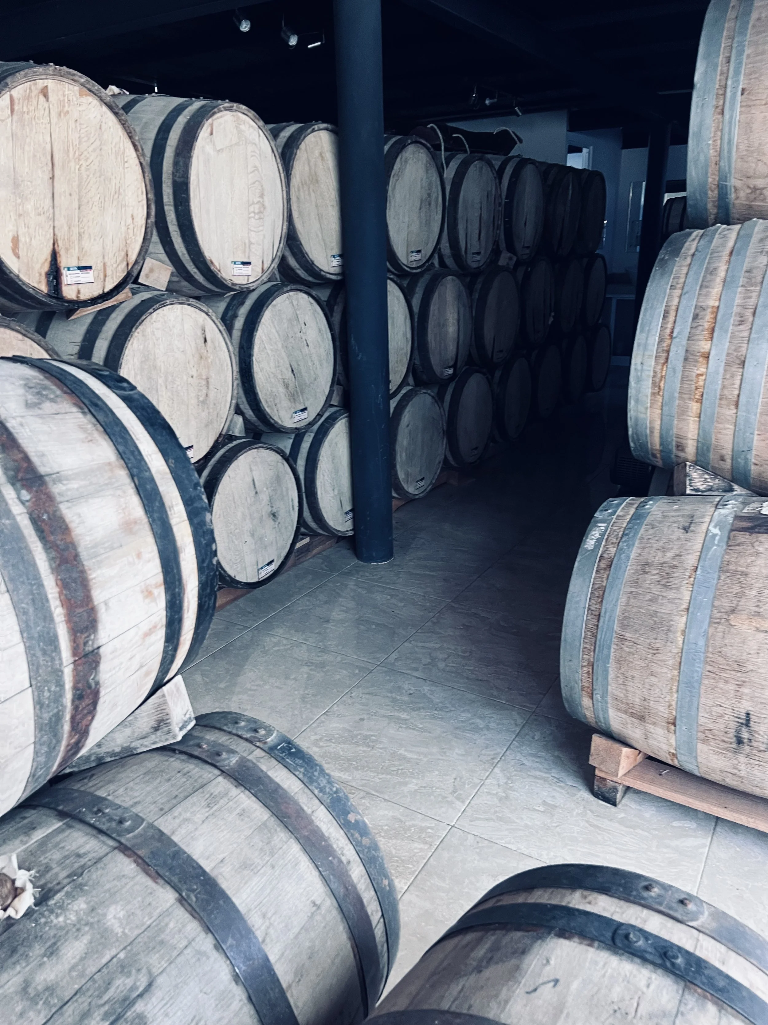 Rows of wooden barrels in a cellar or storage room, some stacked on pallets and some upright on the floor.