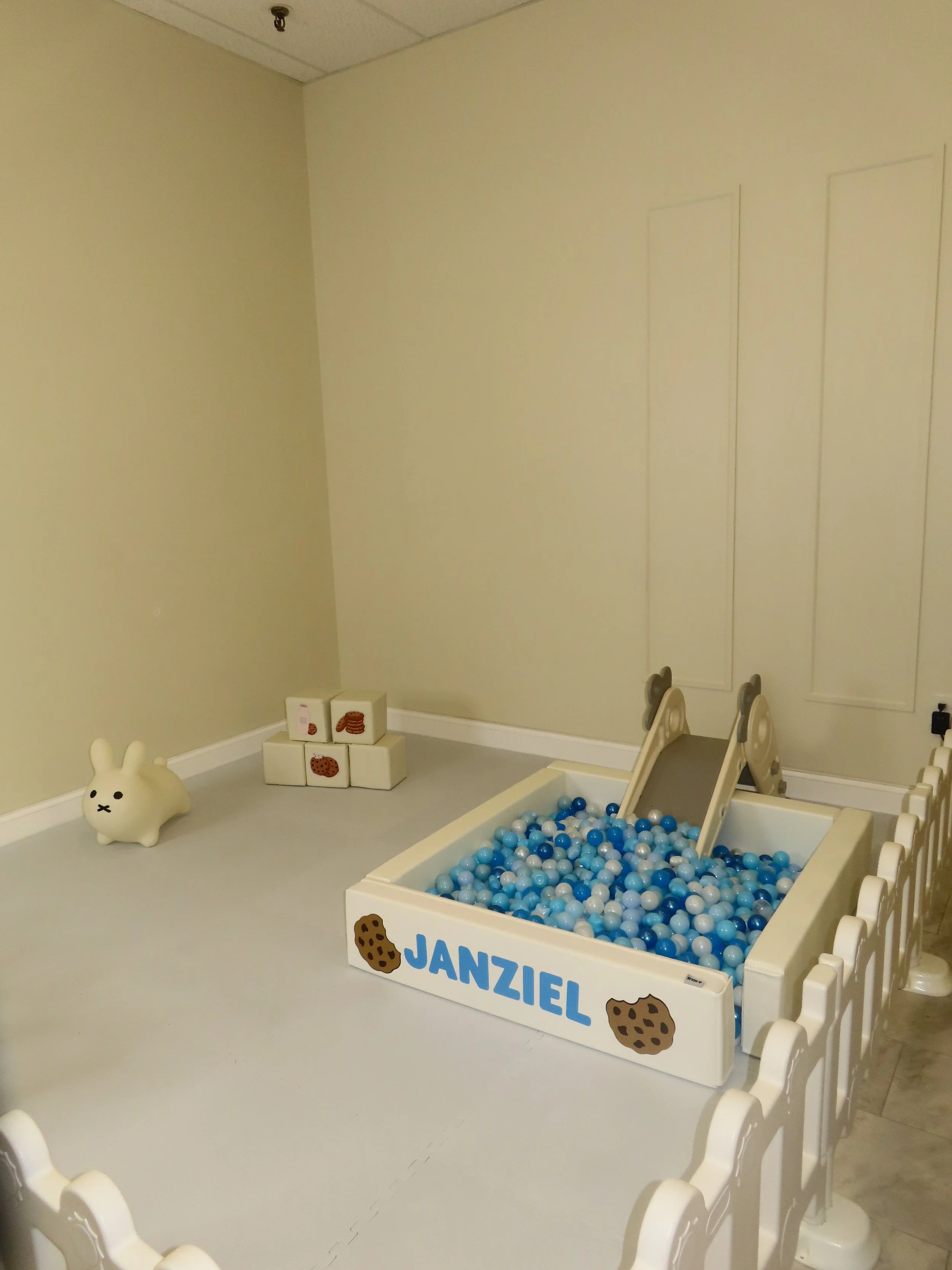 Children's play area with a ball pit labeled Janziel, a slide, a bunny-shaped ride-on toy, and stacking blocks with animal and food images.