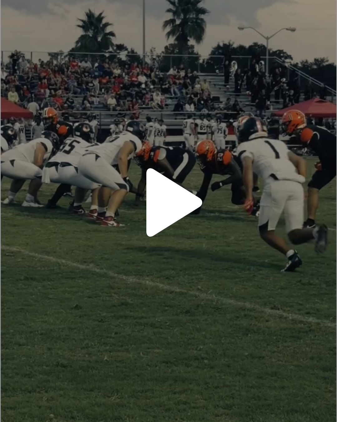 Untitled design (29).png