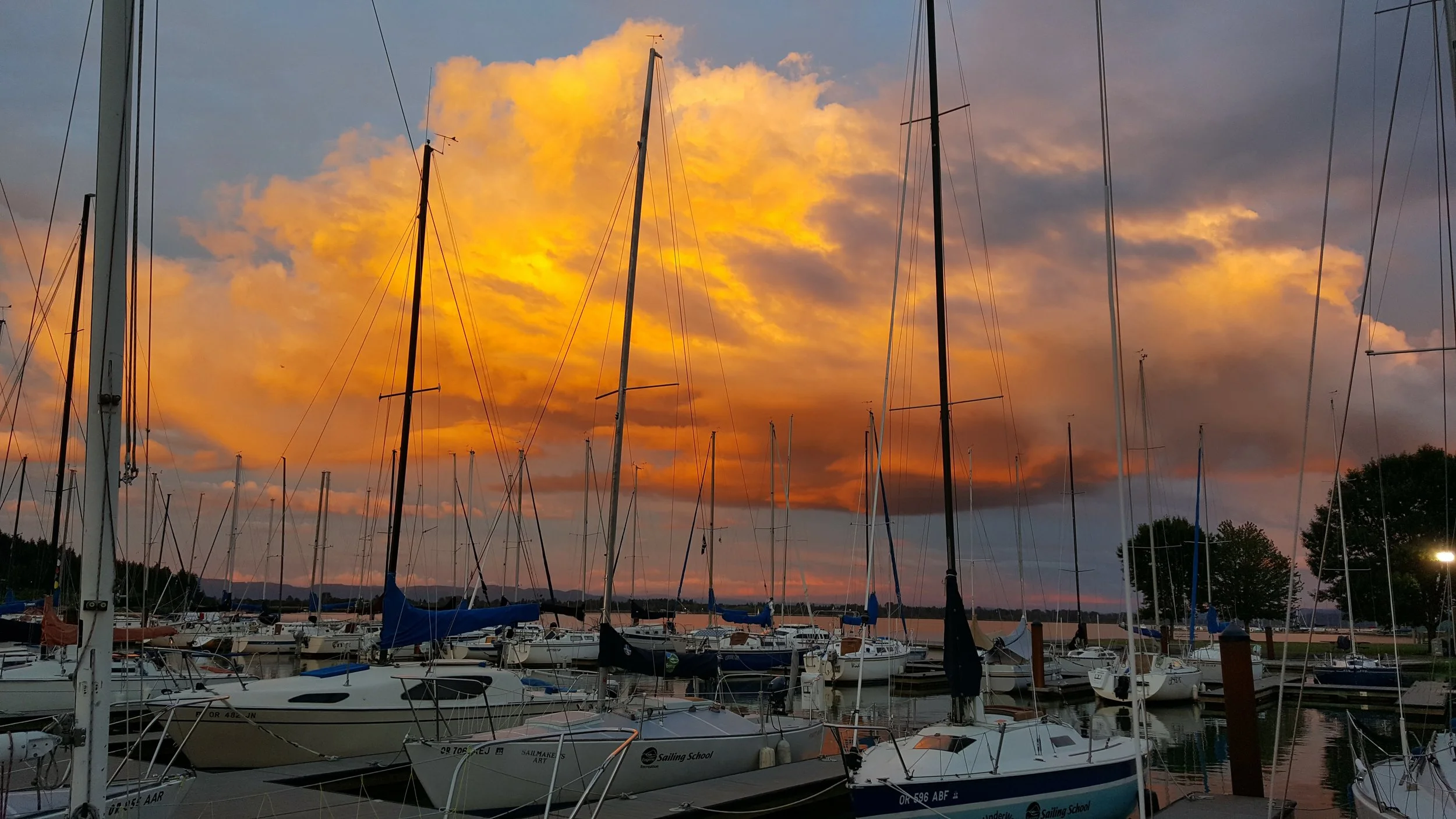 An Evening on Fernridge