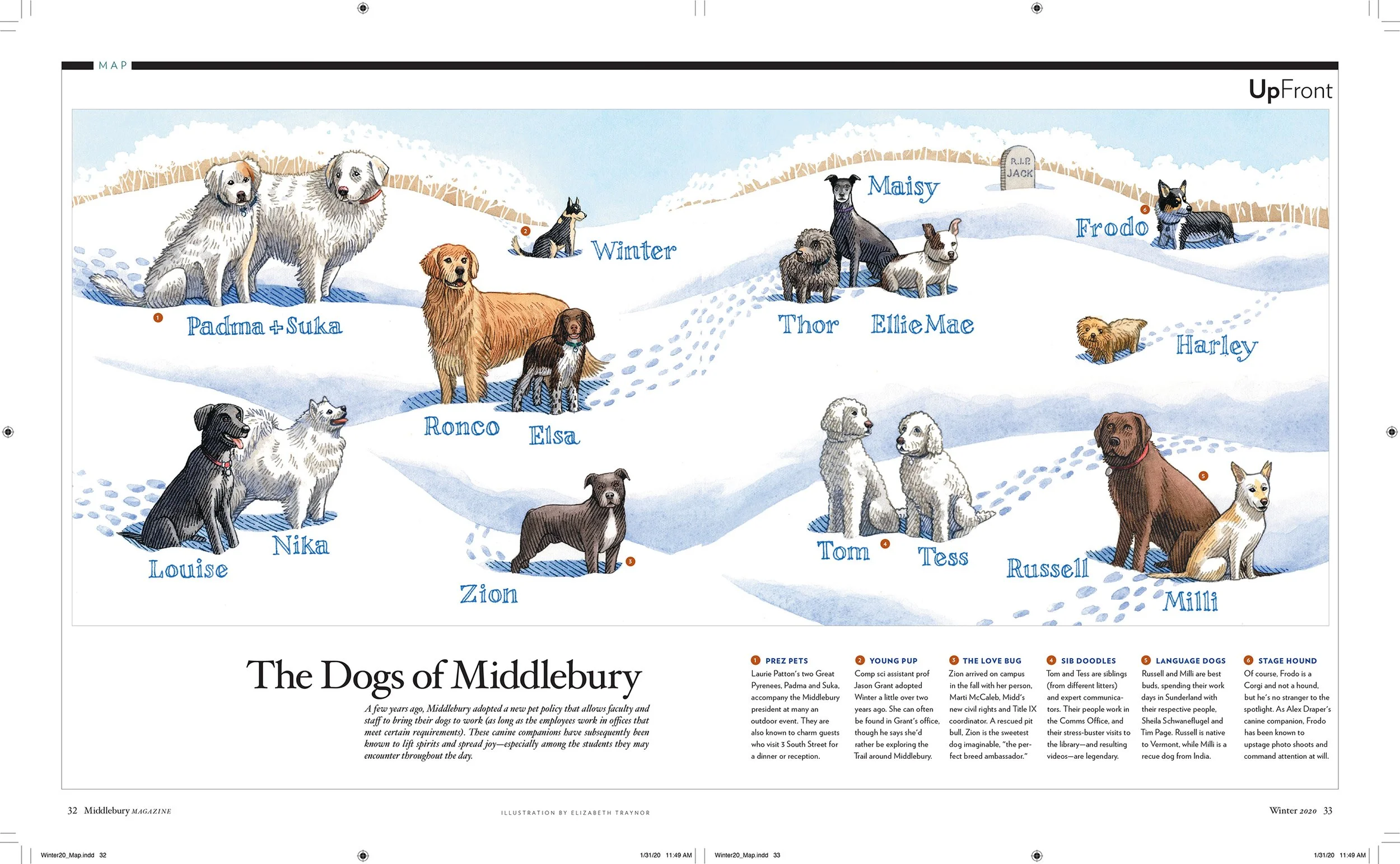 Commissioned and art directed illustration for regular magazine dept.