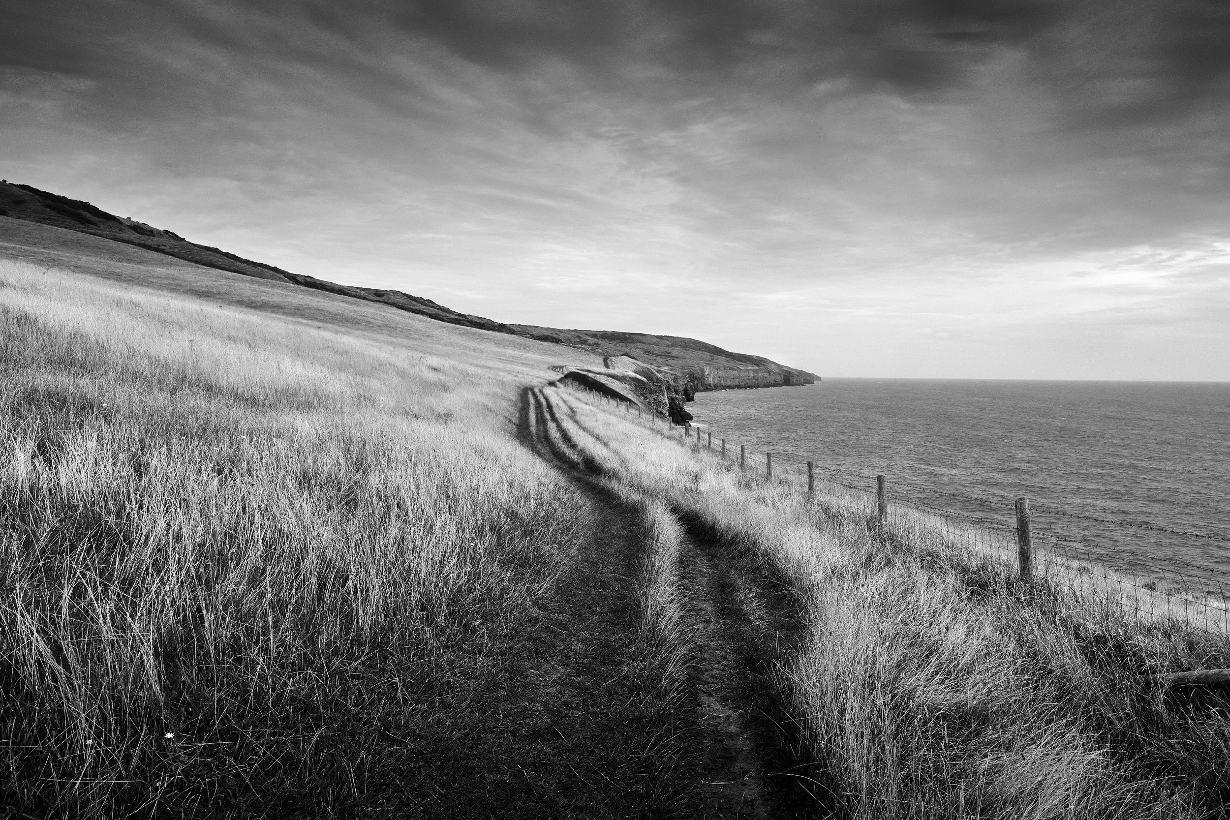 Southwest Coast Path, Dorset