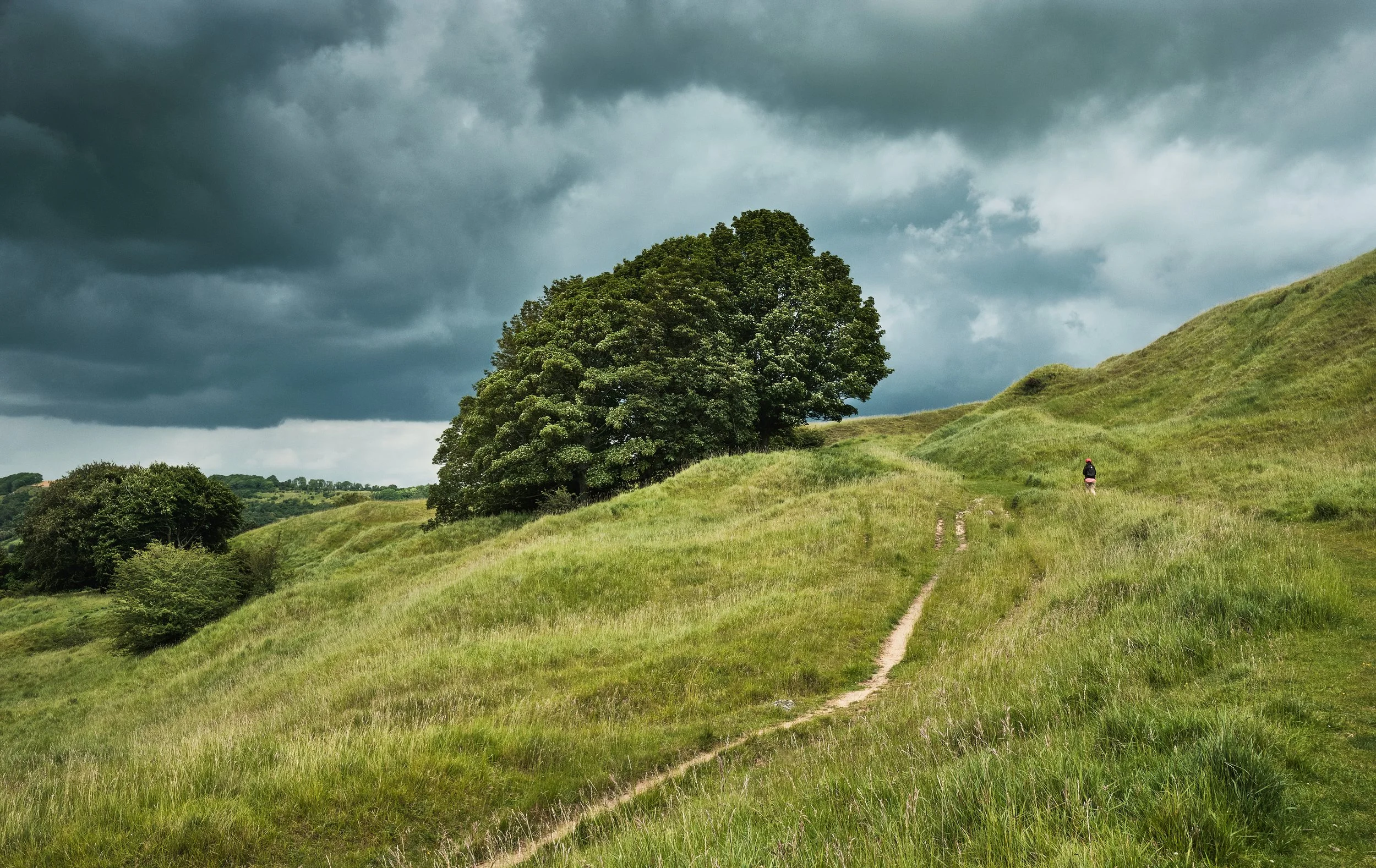 Cleeve Hill, Gloucestershire
