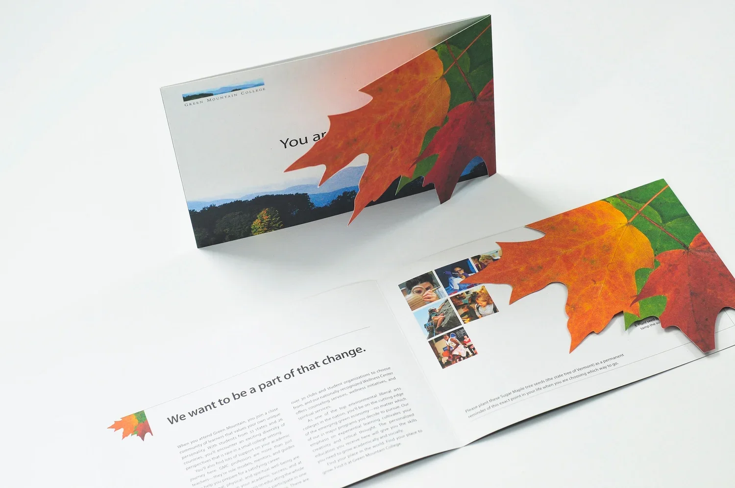 GMC Conversion Trifold