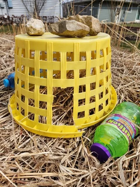 laundry basket over rabbits nest.jpg