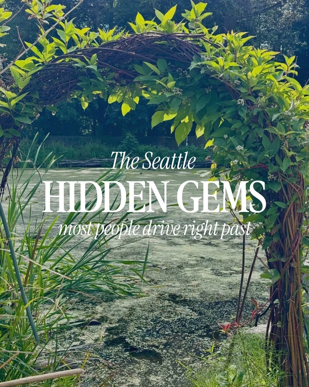 The Seattle spots locals don&rsquo;t really want to share &mdash; but I&rsquo;m leaking them anyway. 👀

A few honorable mentions:
The salmon ladder at the Ballard Locks when the fish are actually running and nobody thinks to look for it

Oxbow Park 