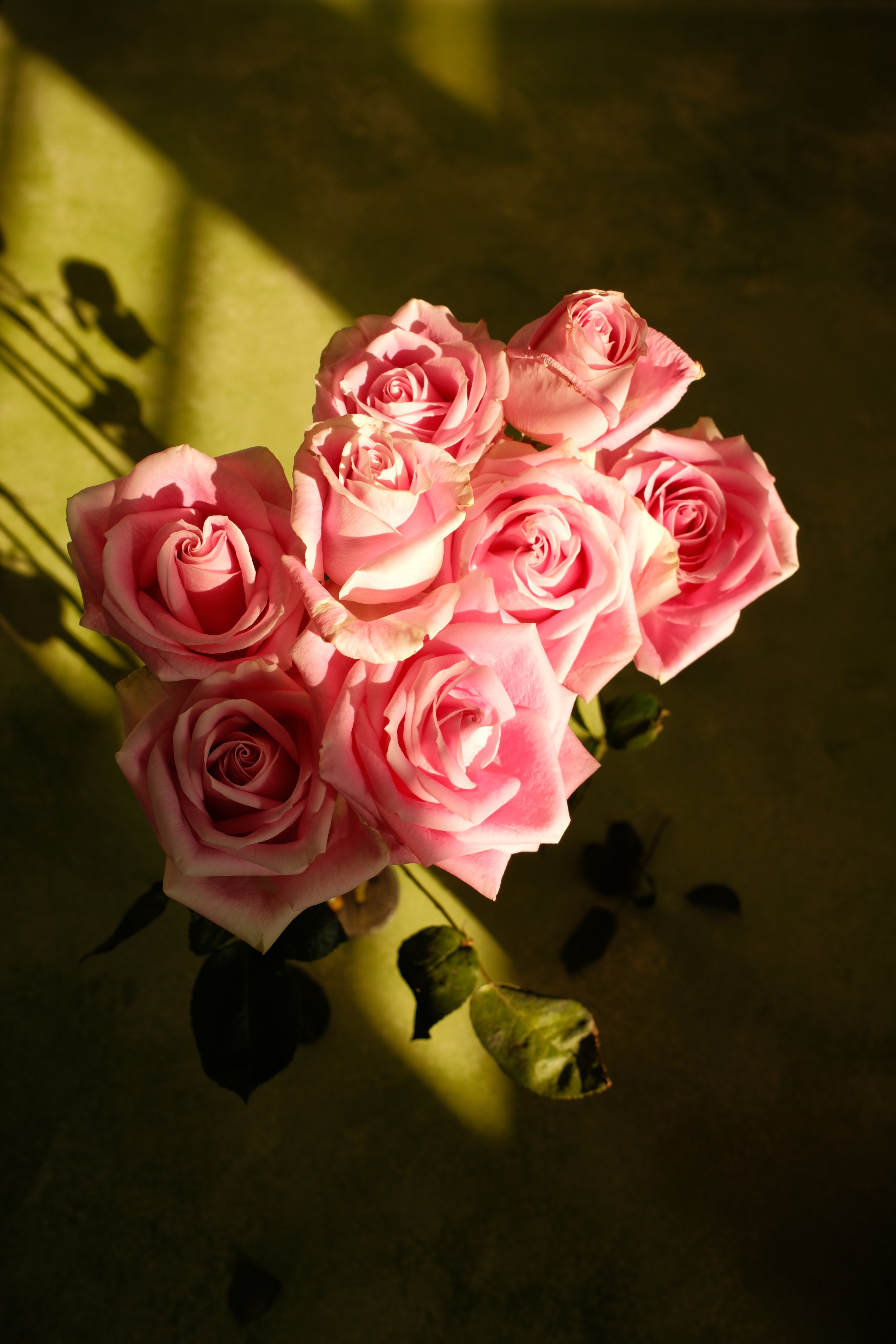DSCF6016.JPG