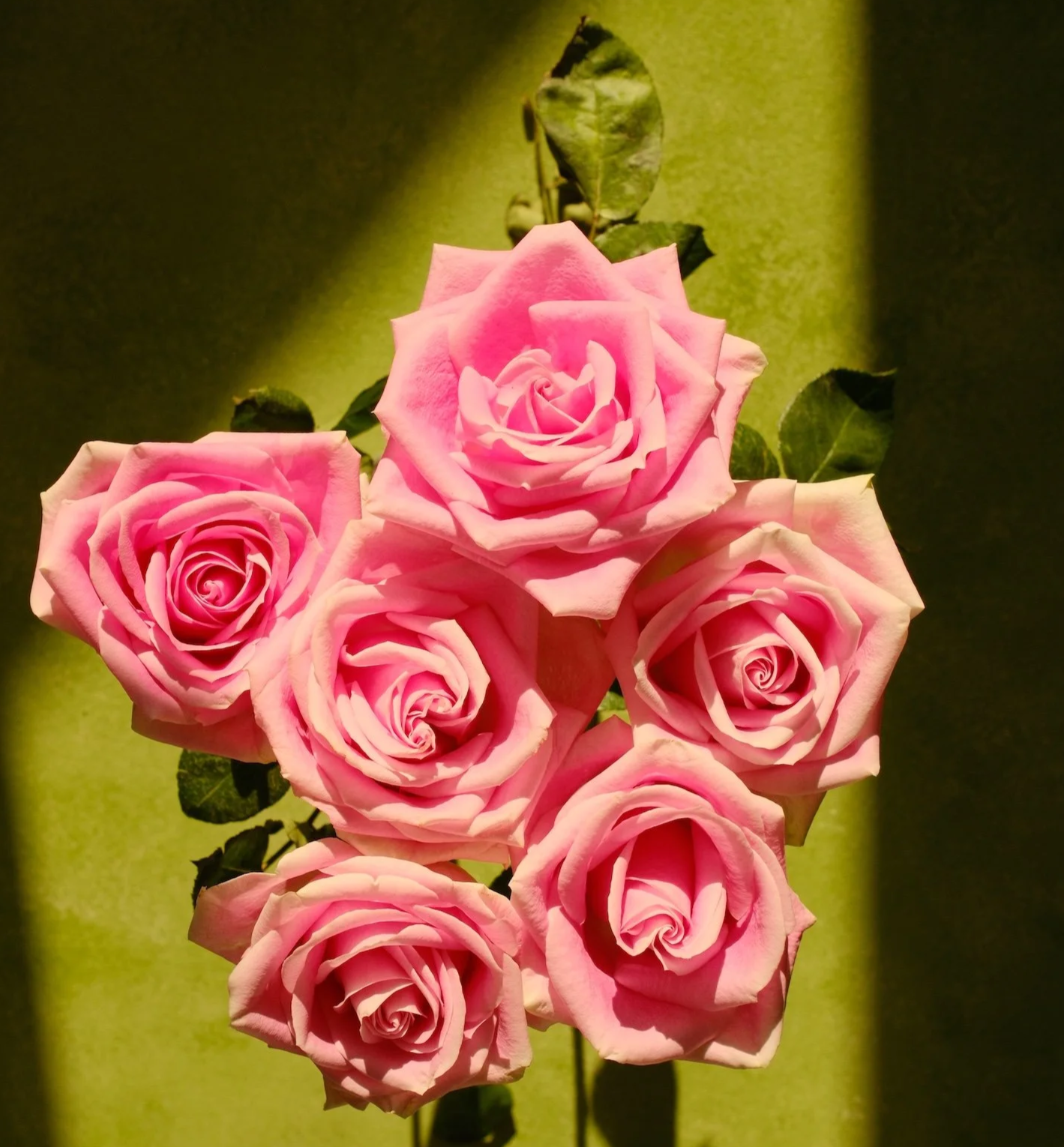DSCF6060.png