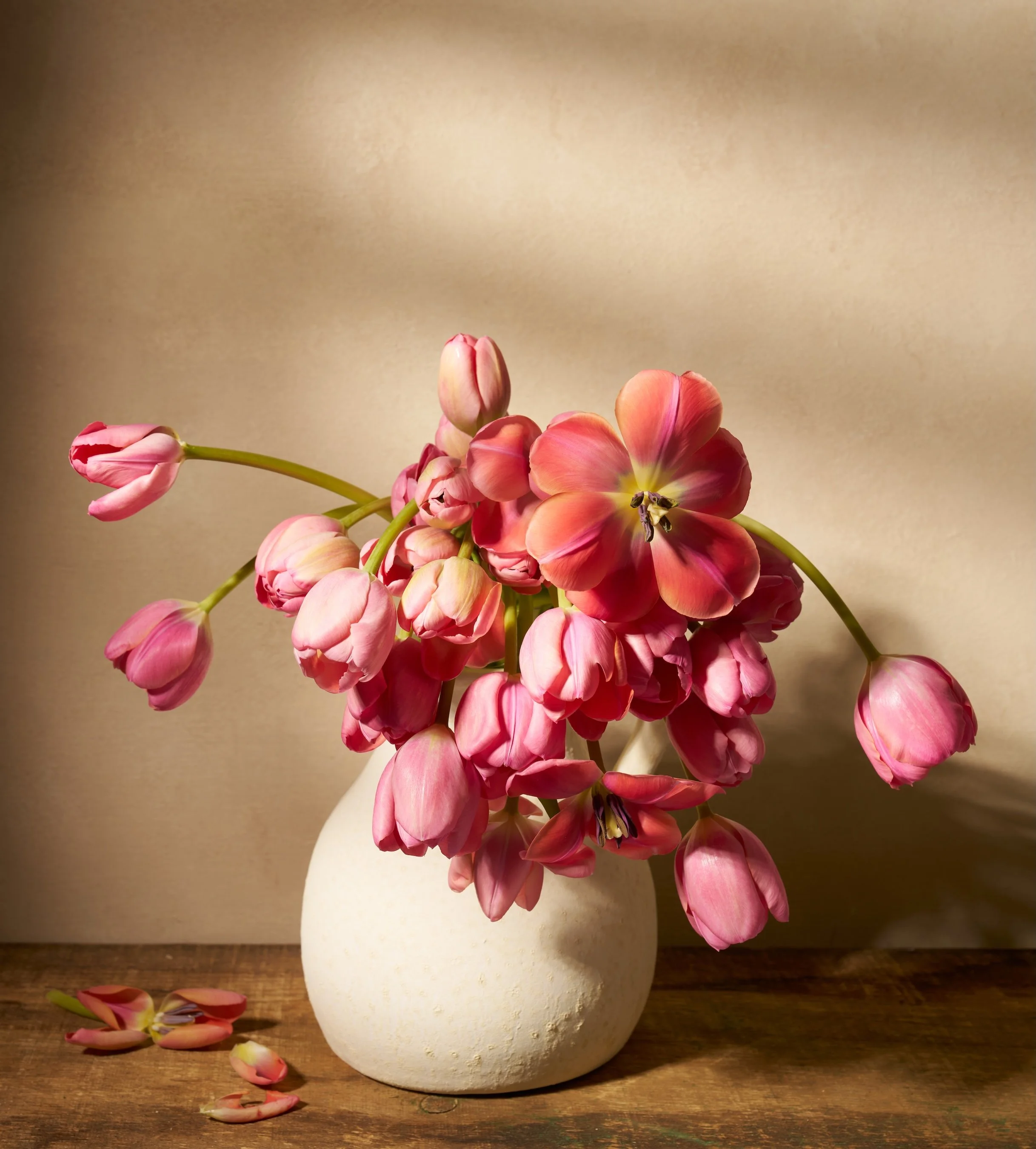 Pink Tulips Apr 90088.jpg