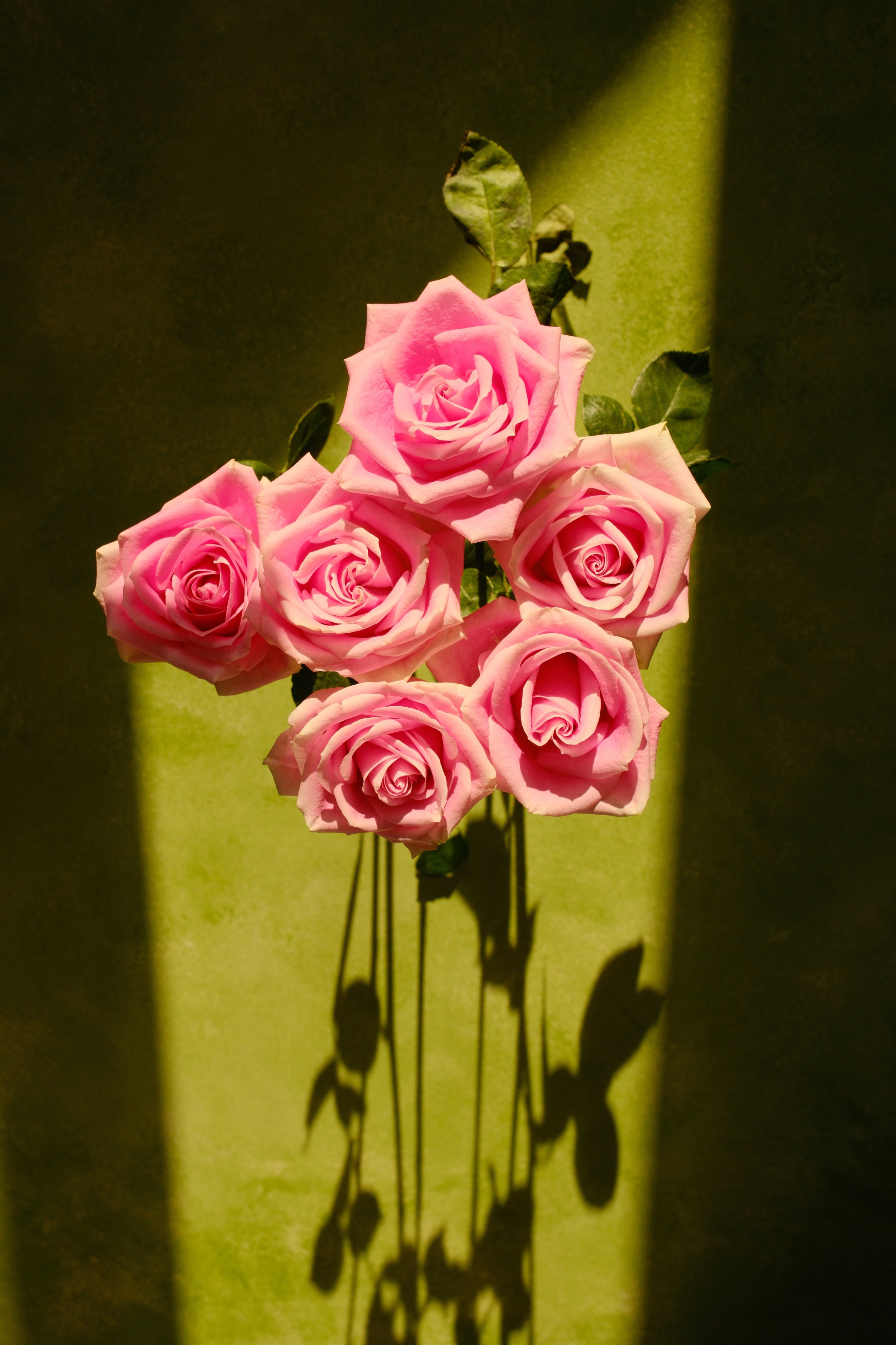 DSCF6062.JPG