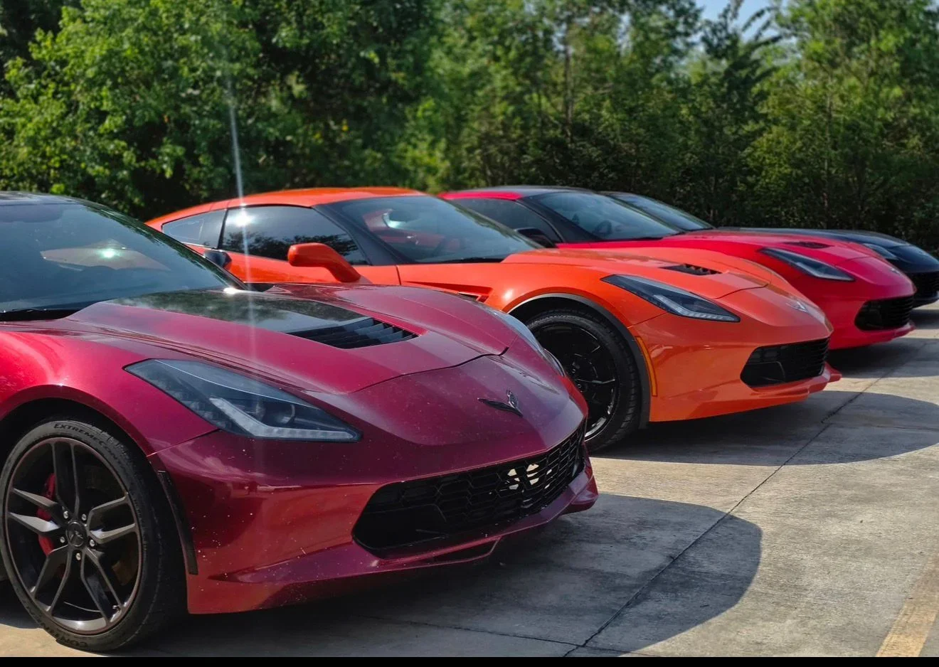 Custom sports cars and Corvettes lined up at RAM Performance LLC.