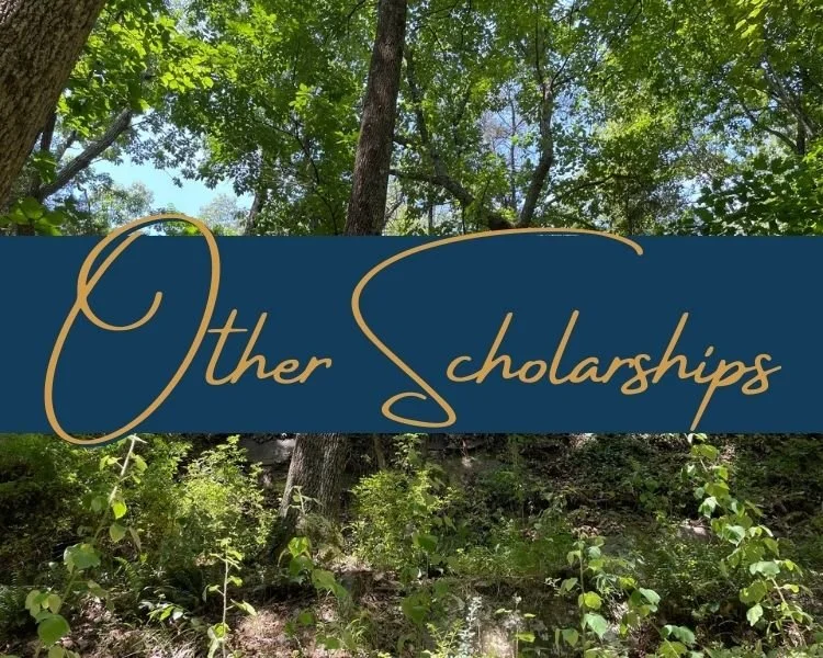 Other Scholarships