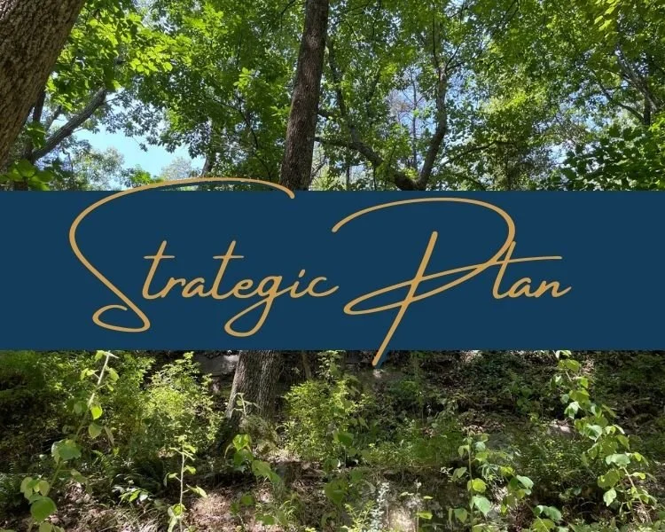 Strategic Plan