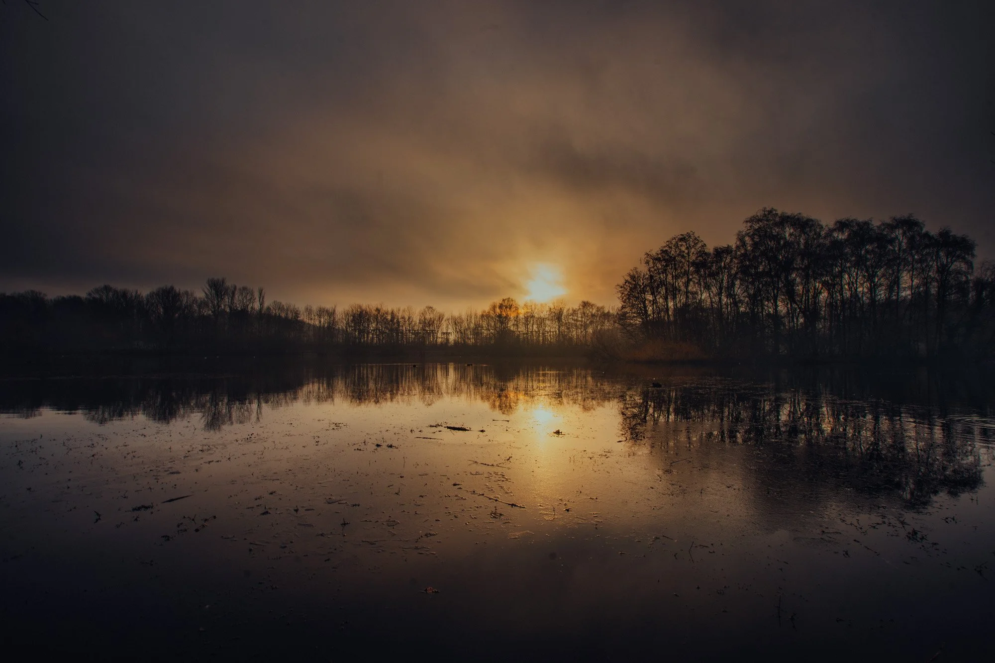 Sunset over a calm lake with a reflection of leafless trees on the water, dark clouds in the sky.