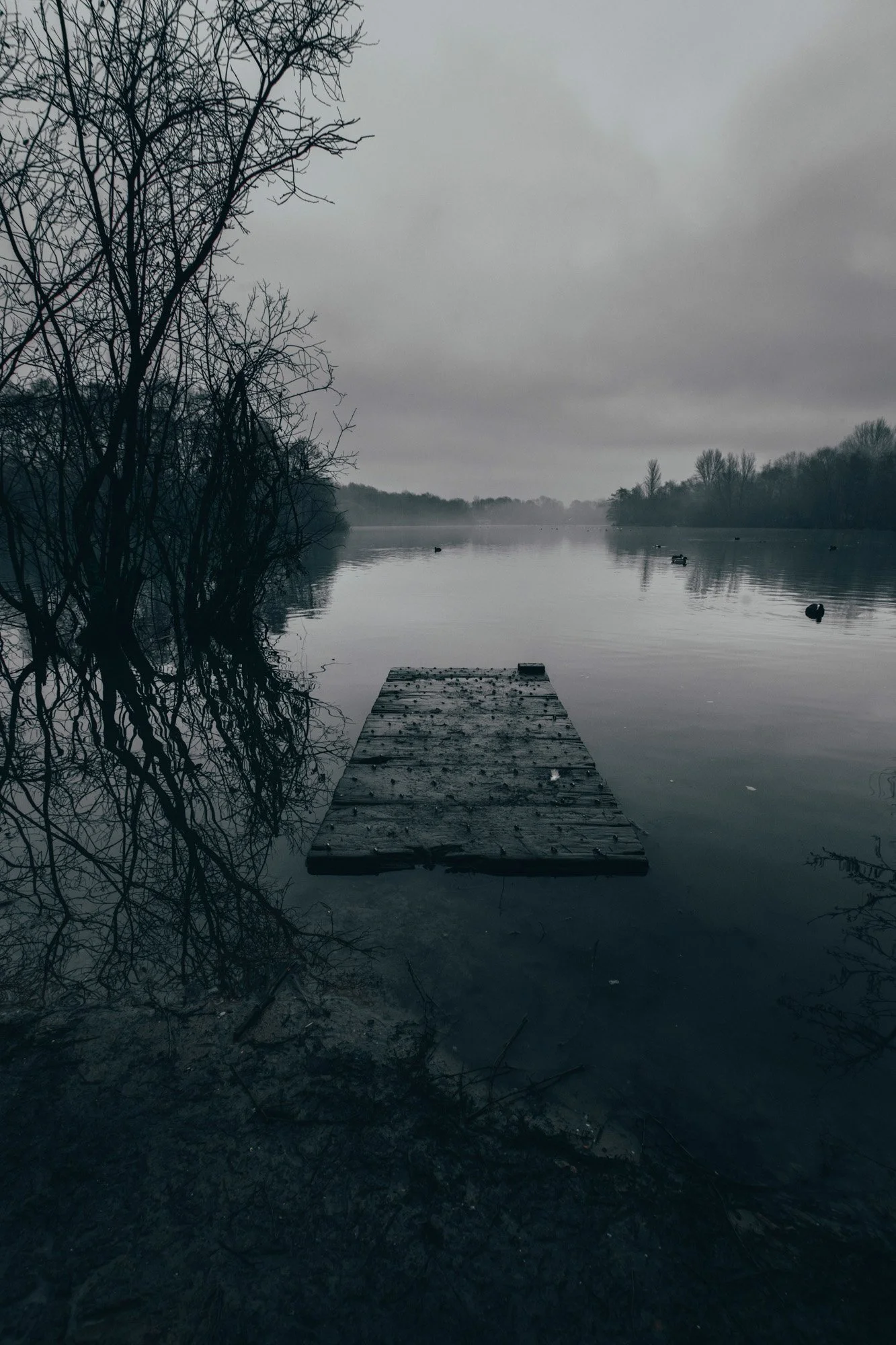 A wooden dock extending into a calm river with overcast gray skies. Bare trees line the riverbank, reflecting in the water, and there are ducks floating on the water in the distance.