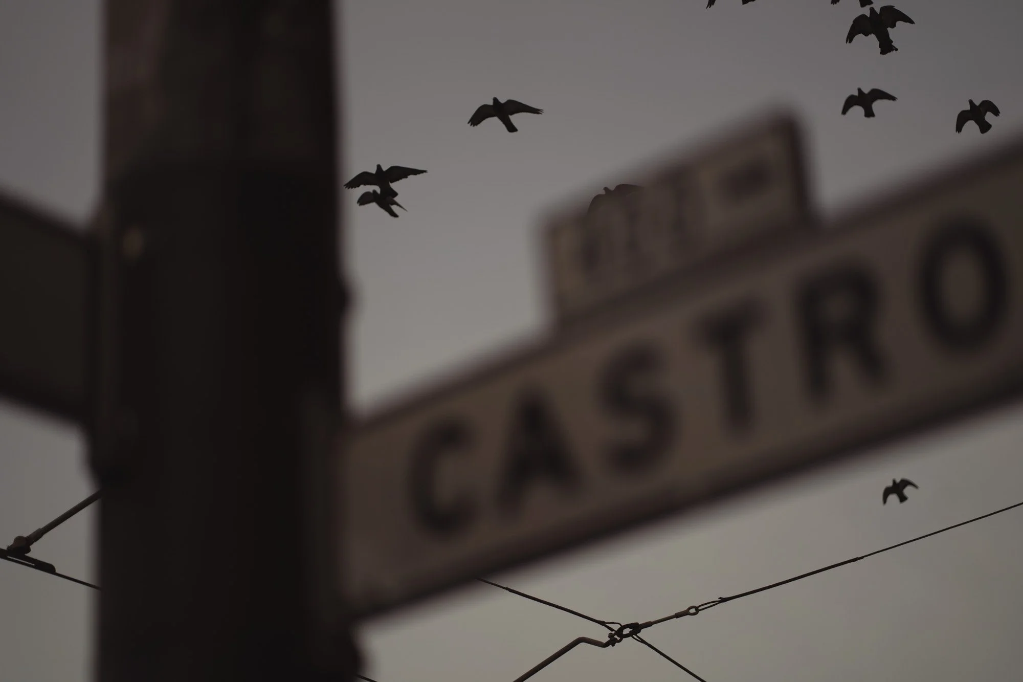 Dark silhouette of a street sign reading 'C Street' with birds flying in the sky above, set against a gray evening or morning background.
