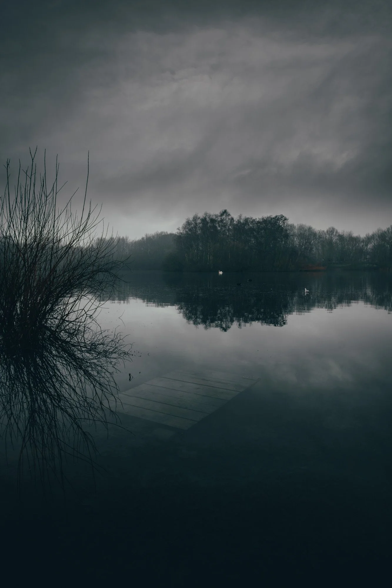 A calm lake reflecting a cloudy sky, with trees on the far shore and some ducks swimming. A small wooden dock extends into the water in the foreground.