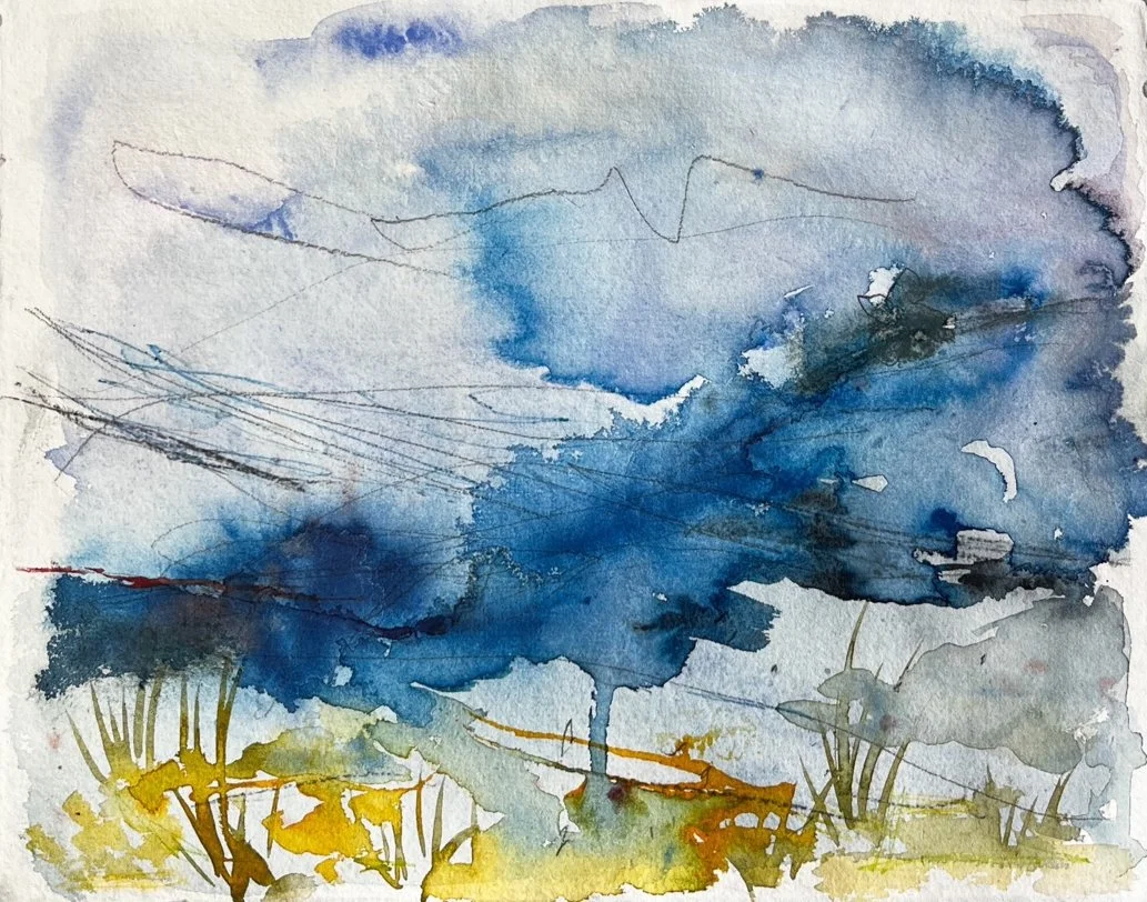 Weathering the Storm 