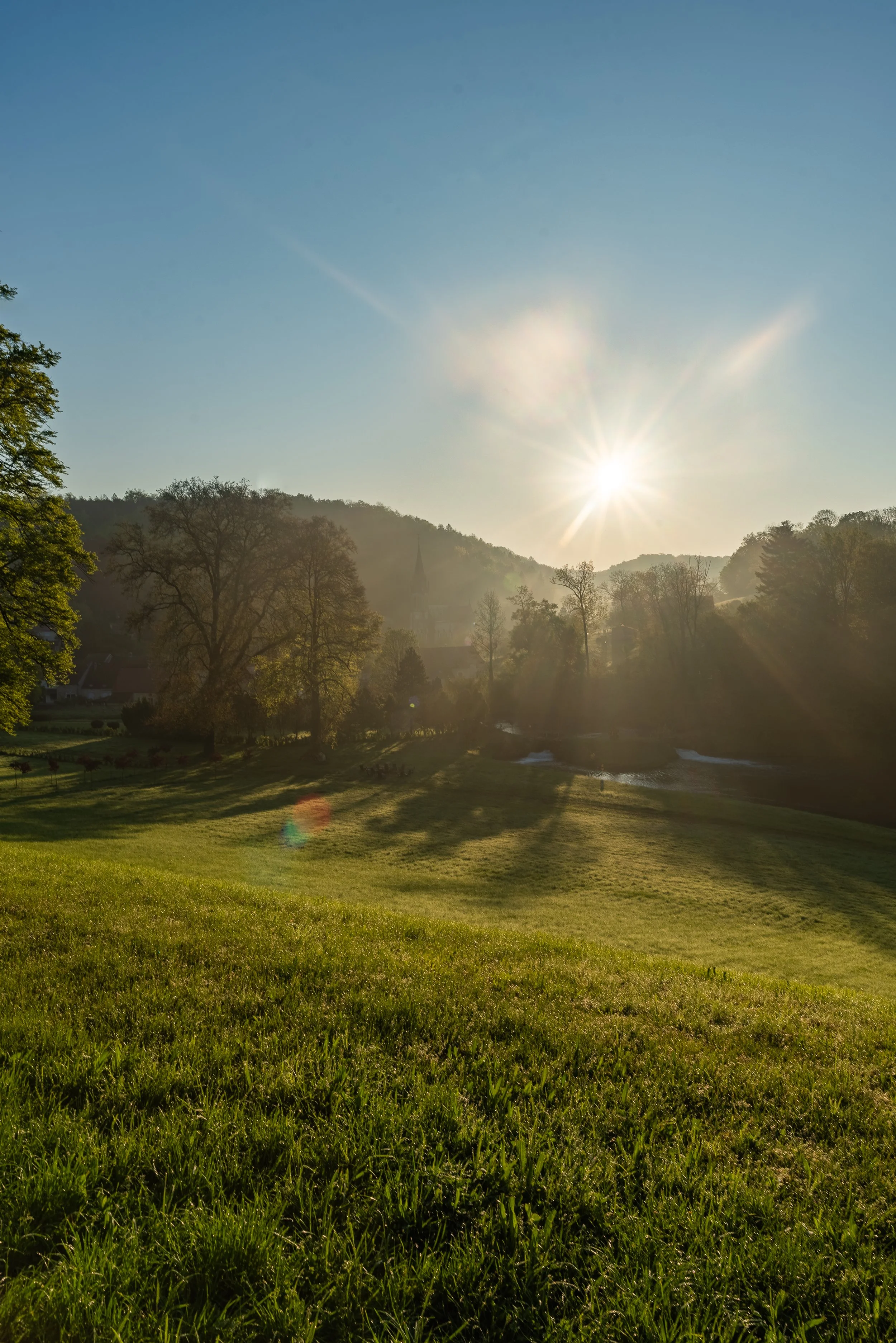 orquevaux sunburst.JPG