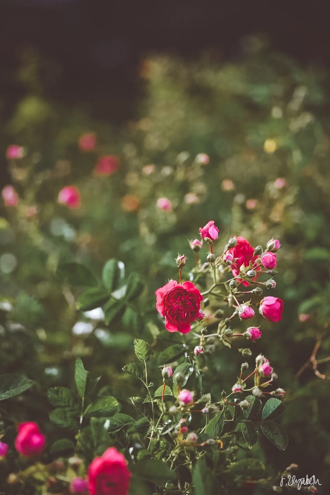 Untitled_Artwork 15.jpg