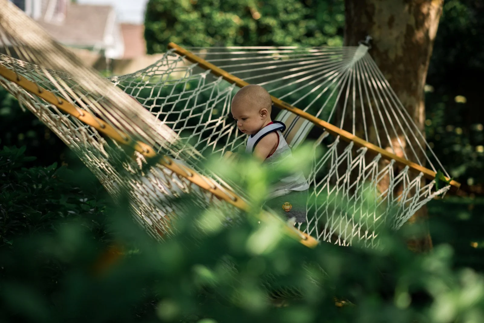 Hammock-1.jpg